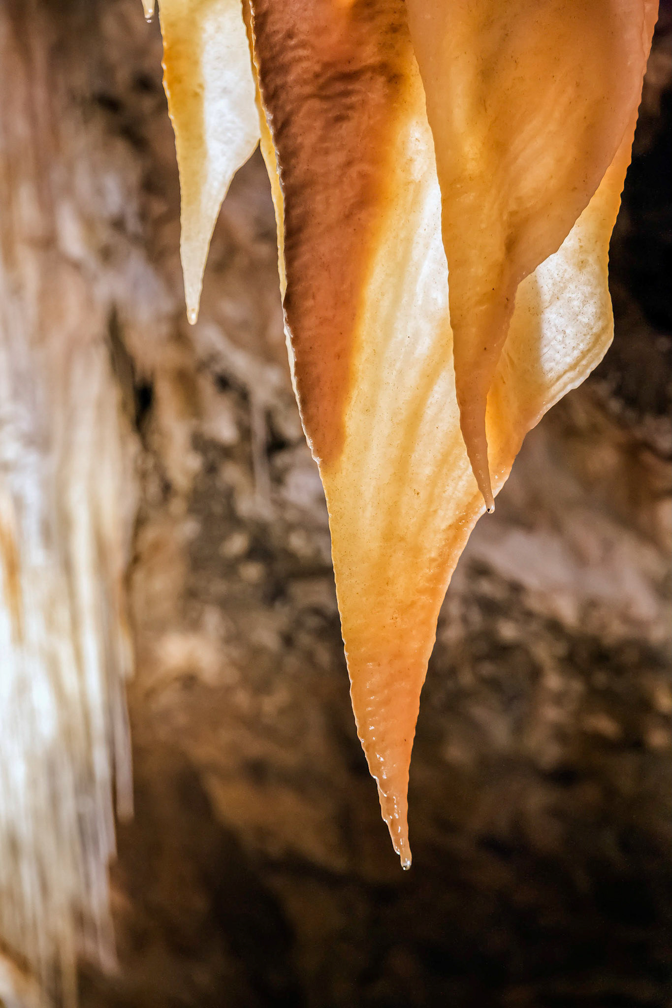 Marakoopa Cave