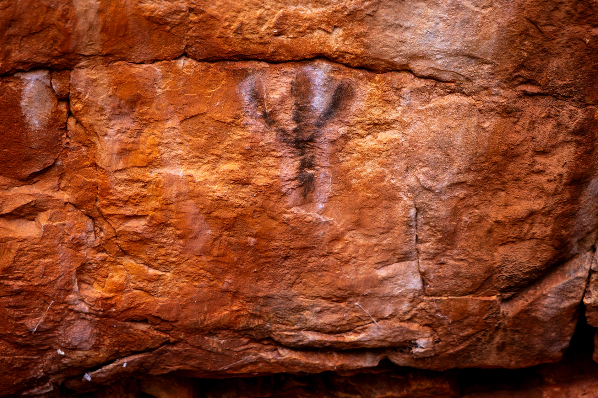 Pangkurpini Gorge, ancient rock art