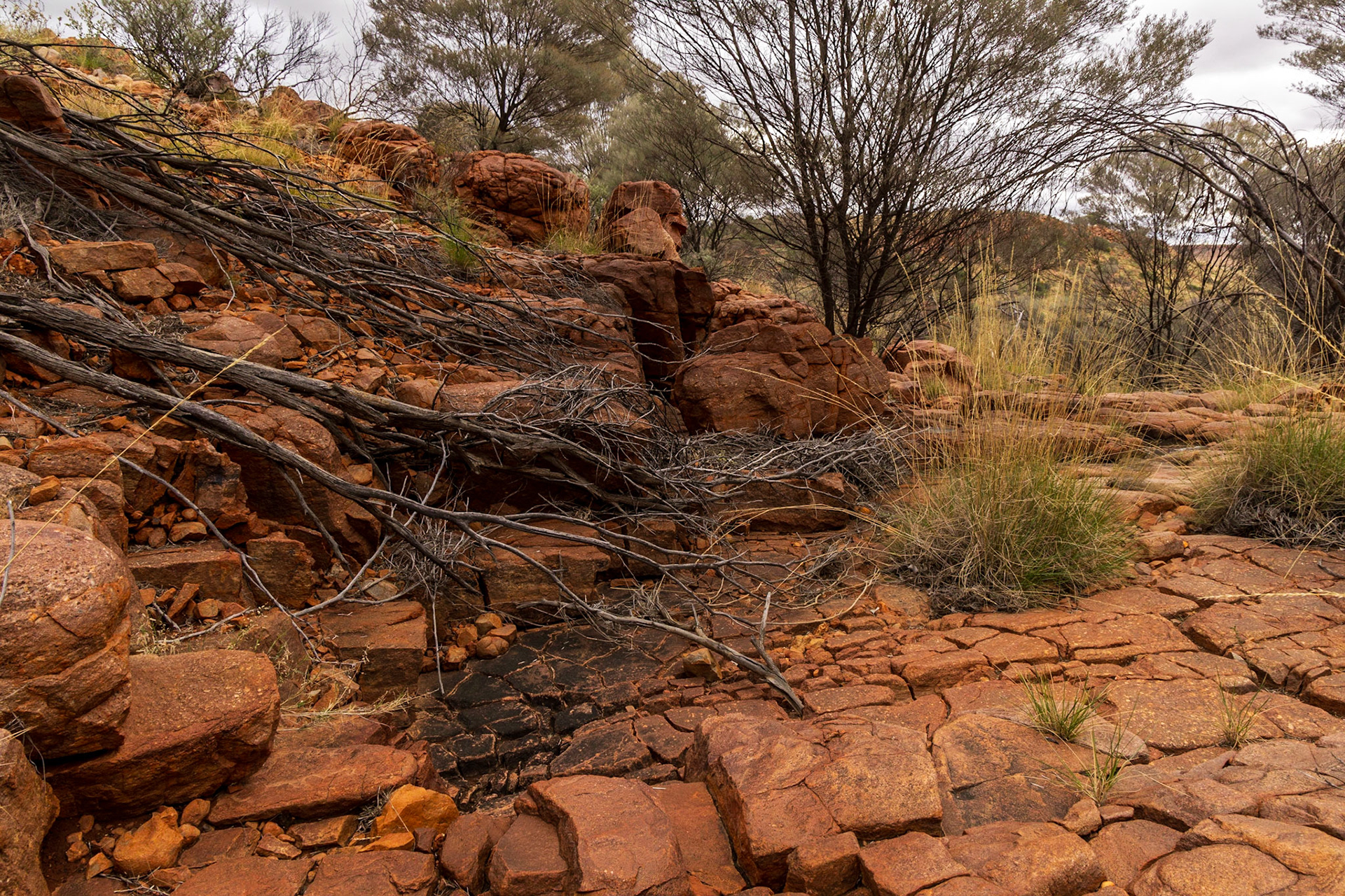 Amongst the Dovers Hills