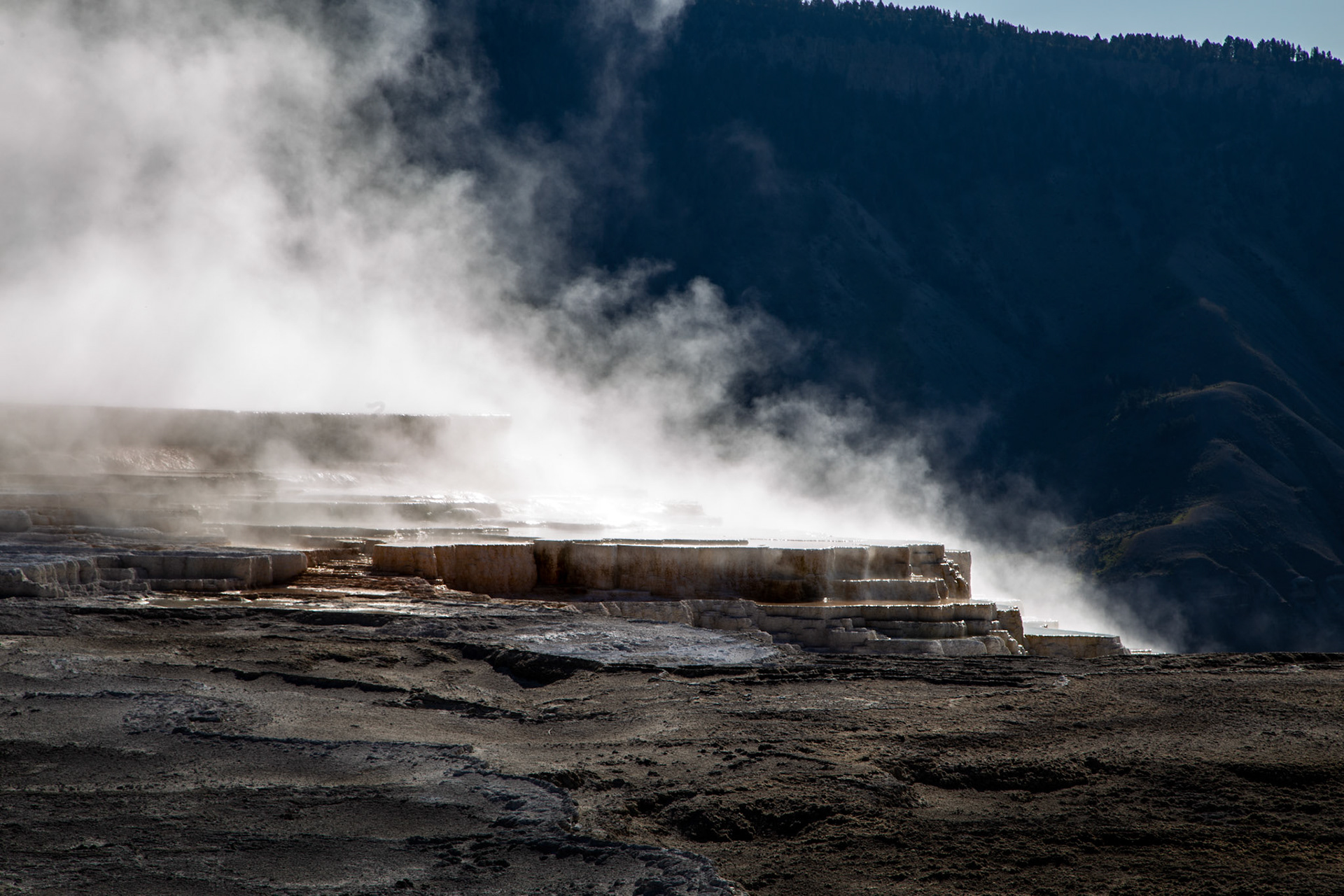 Canary Spring. Lower Terraces, Mammoth Hot Springs