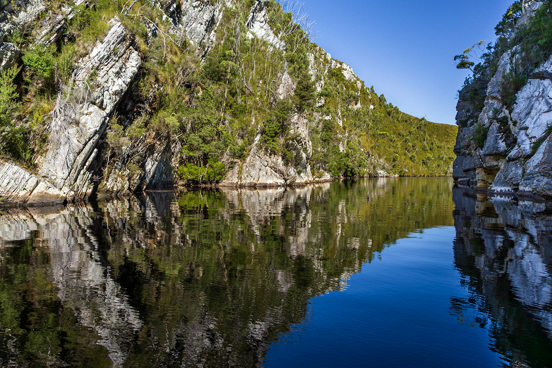 In the Davey River Gorge.