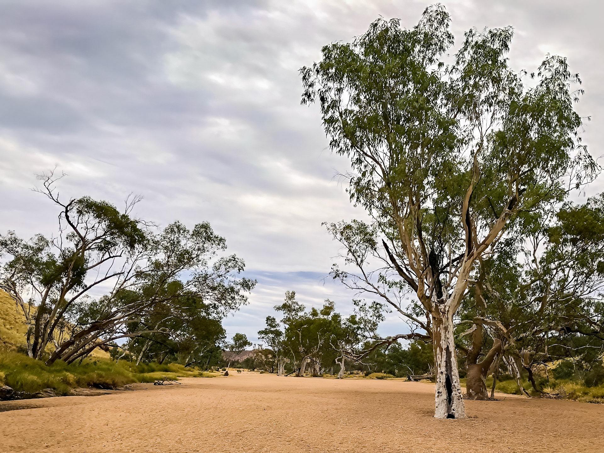 Coming out from Simpsons Gap