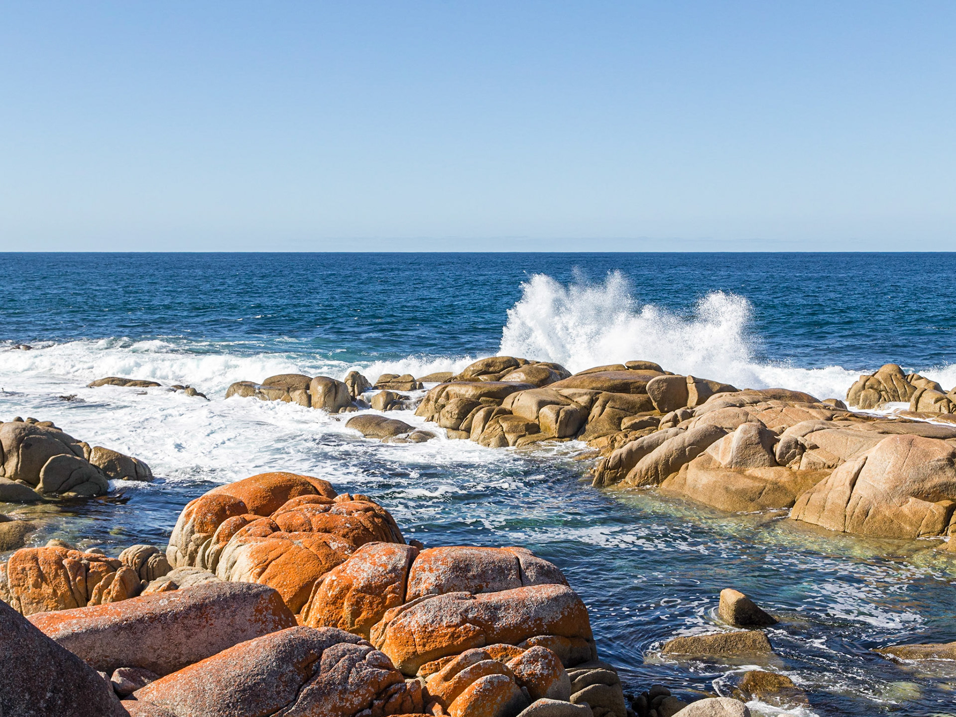 Eddystone Point, Bay of Fires - Colourful lichen on coastal boulders