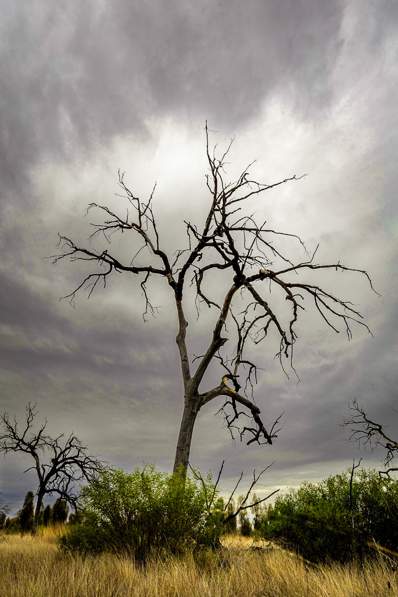 Off Luritja Road (on the way to Kings Canyon Resort)