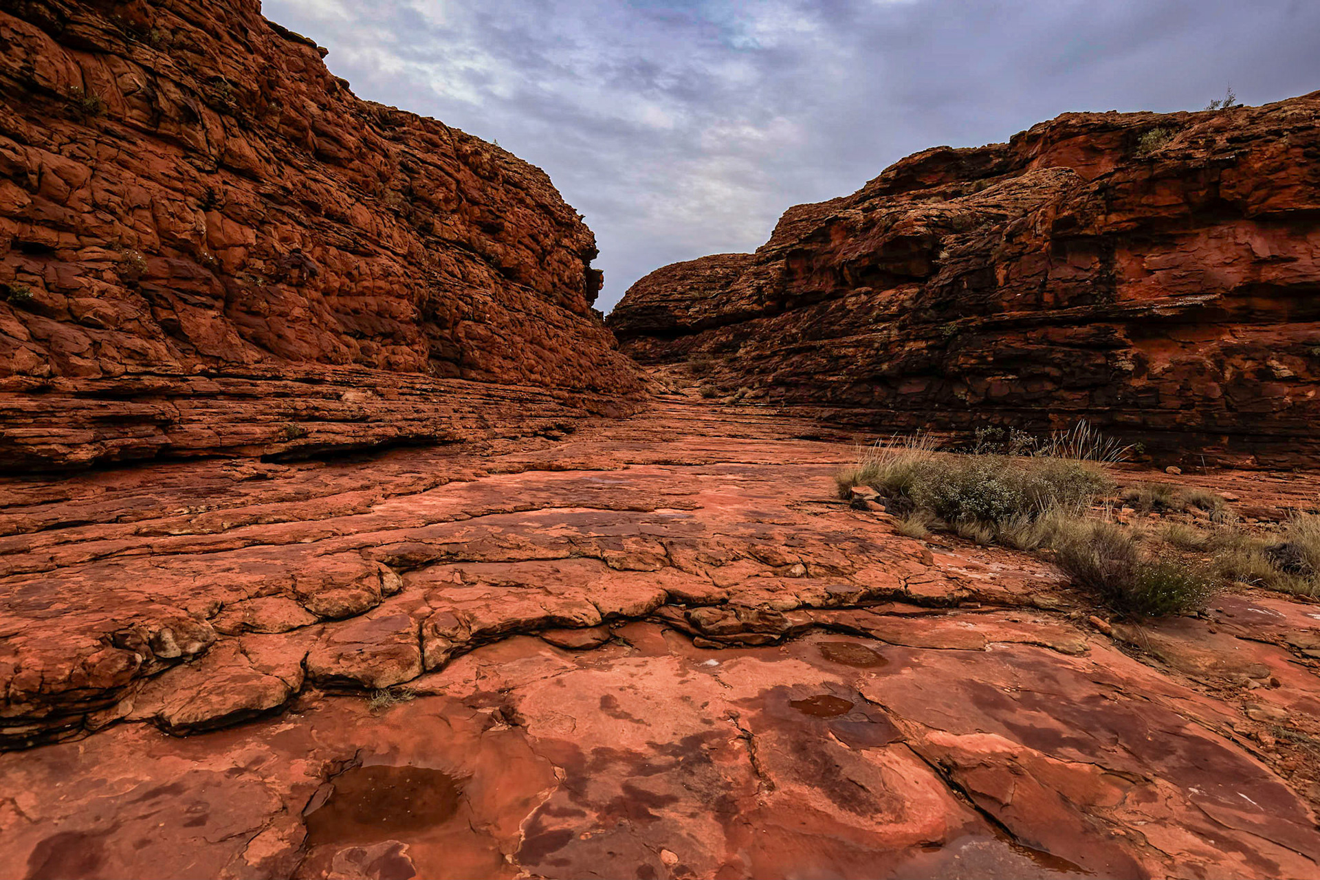 Sunrise shoot at Kings Canyon Rim Walk