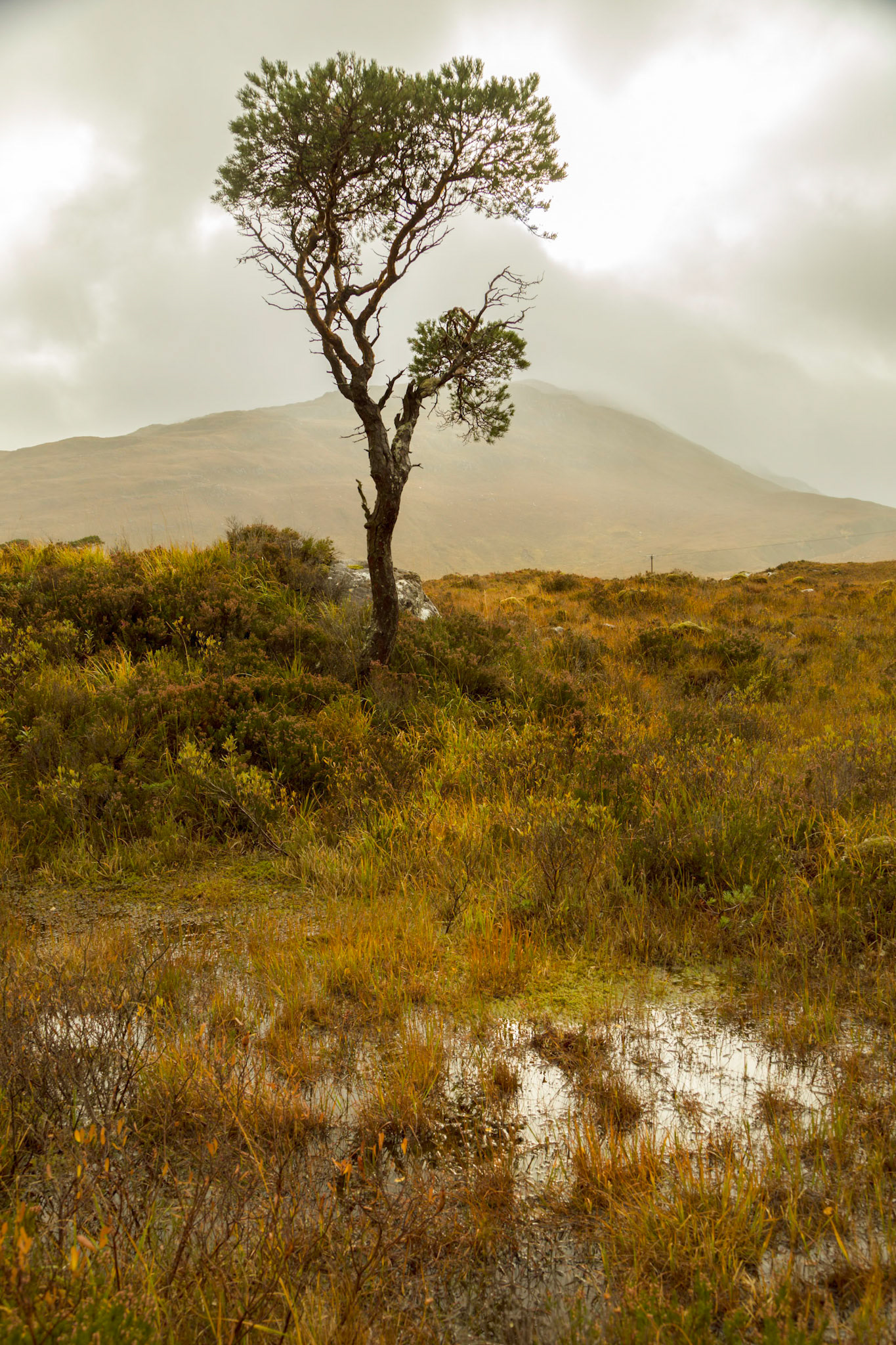 Where the A832 crosses the River Gruide