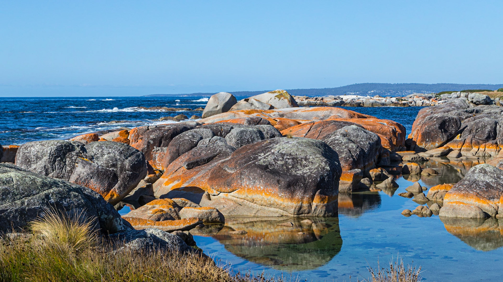 Bay of Fires - Colourful lichen on coastal boulders