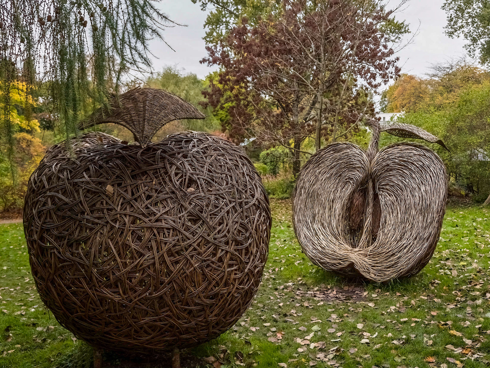 In the grounds of the university's Botanical Gardens