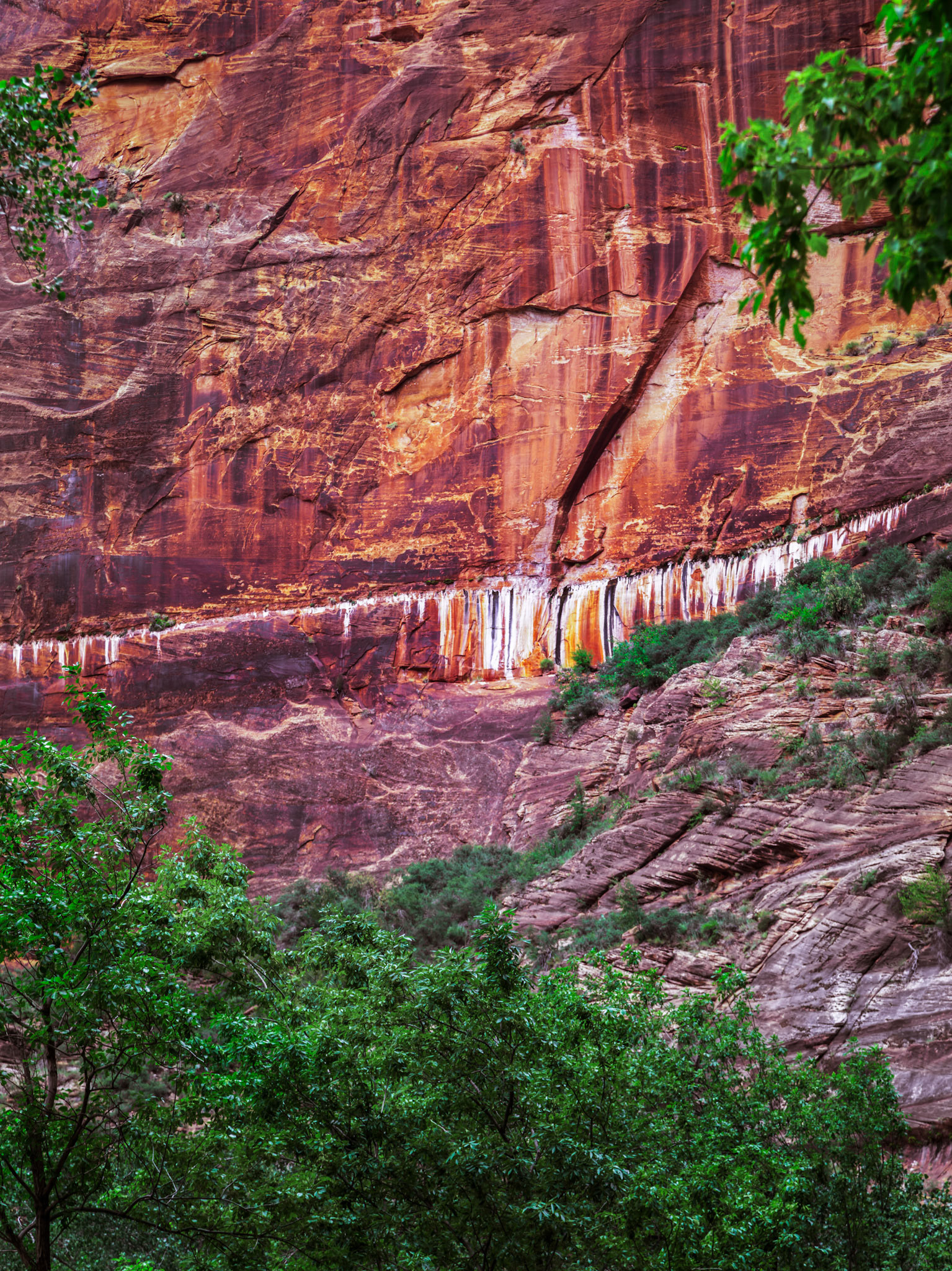 Along the Canyon Wall