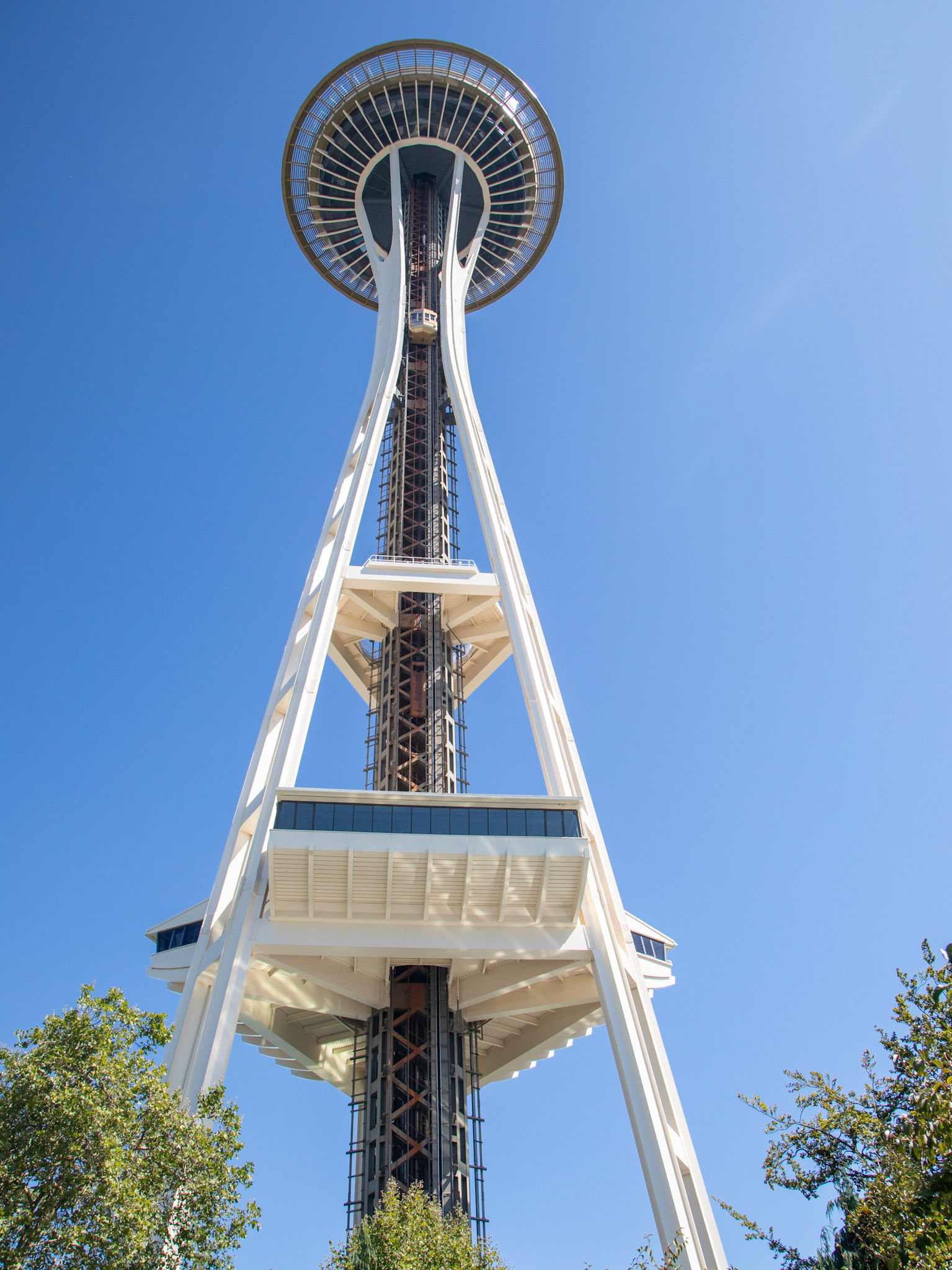 Chihuly Garfden & Glass