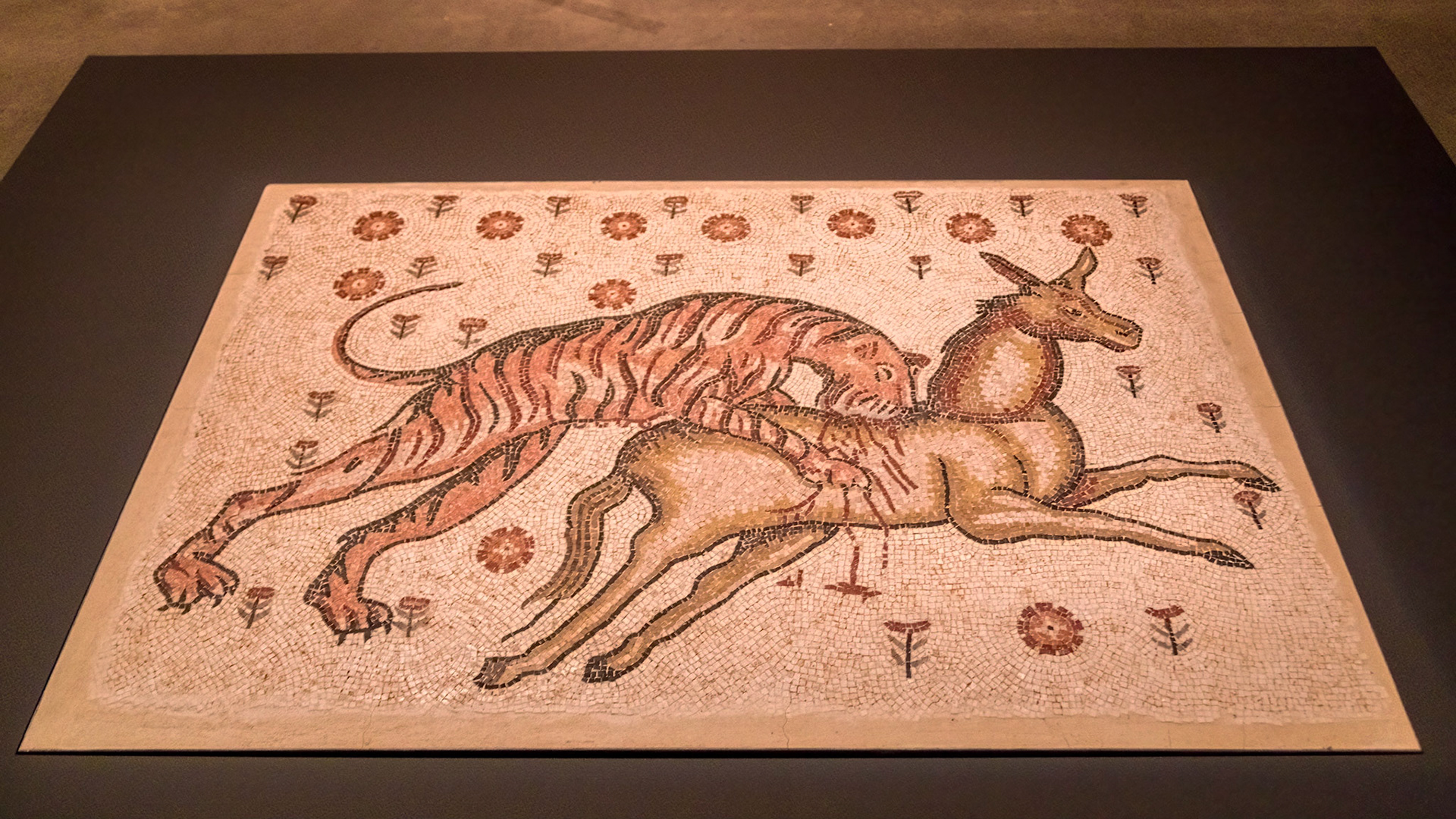 Mosaic Depicting a Tigress Attacking a Donkey. Probably Syria, Roman, 300-600 CE.