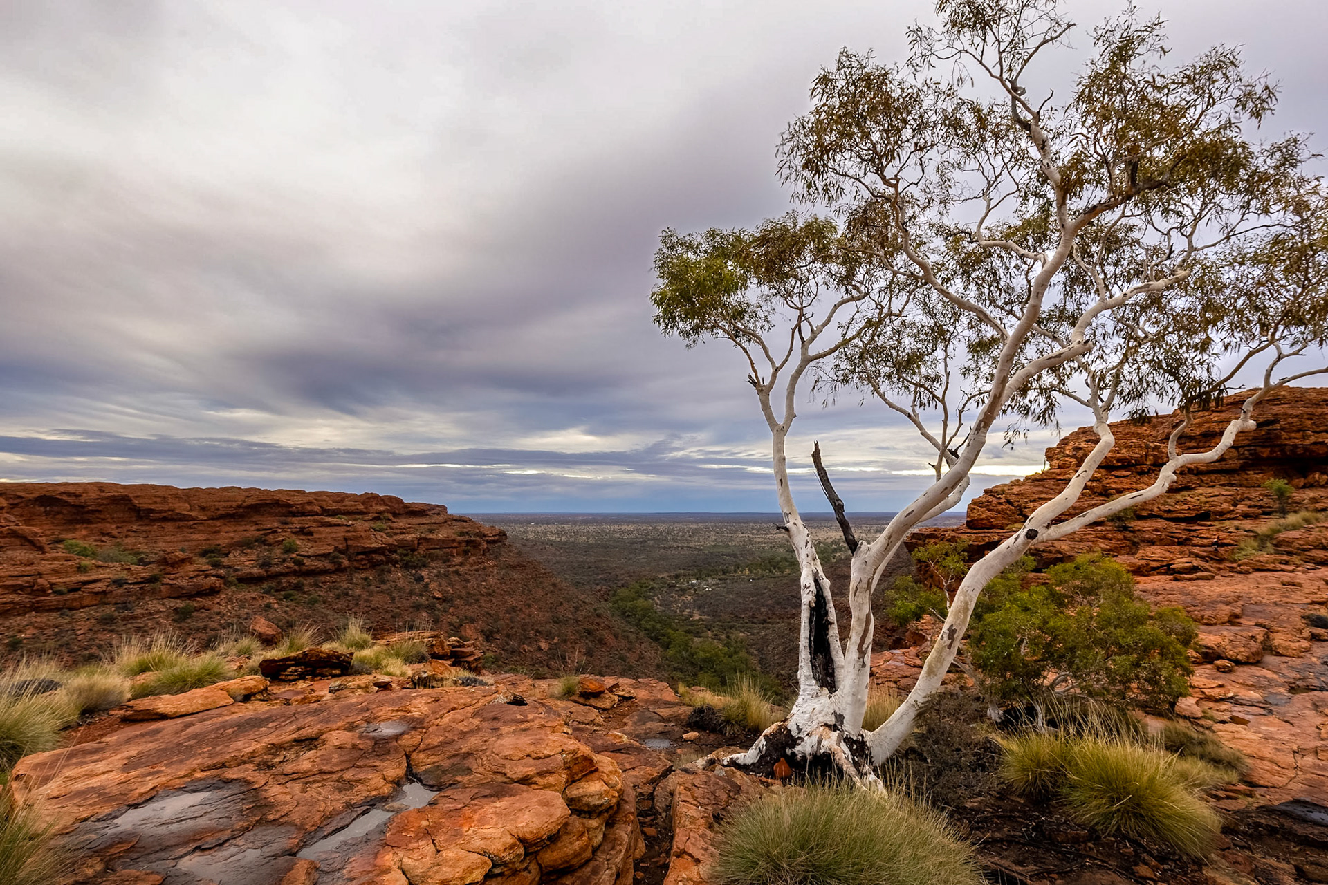 Sunrise shoot at Kings Canyon Rim Walk
