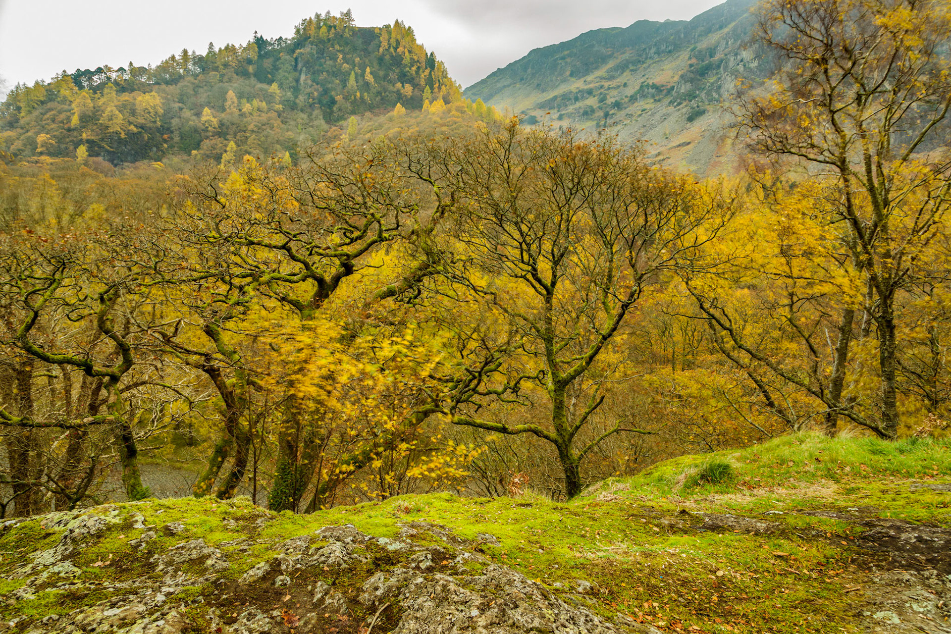 Above the River Derwent, near the Bowder Stone