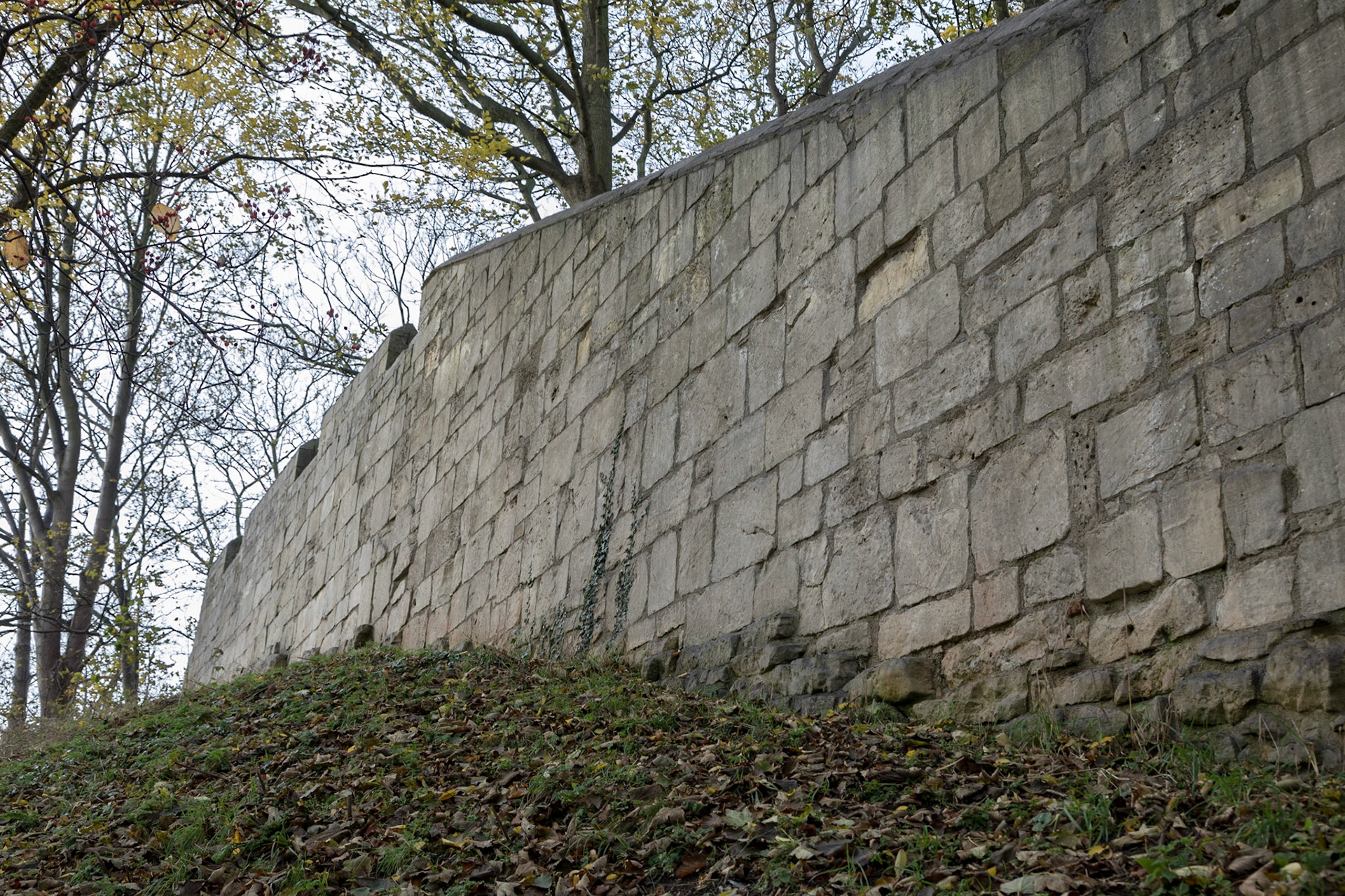 York City Wall