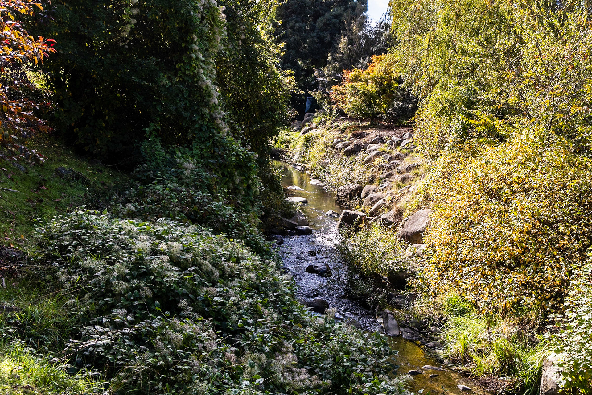 Hobart Rivulet