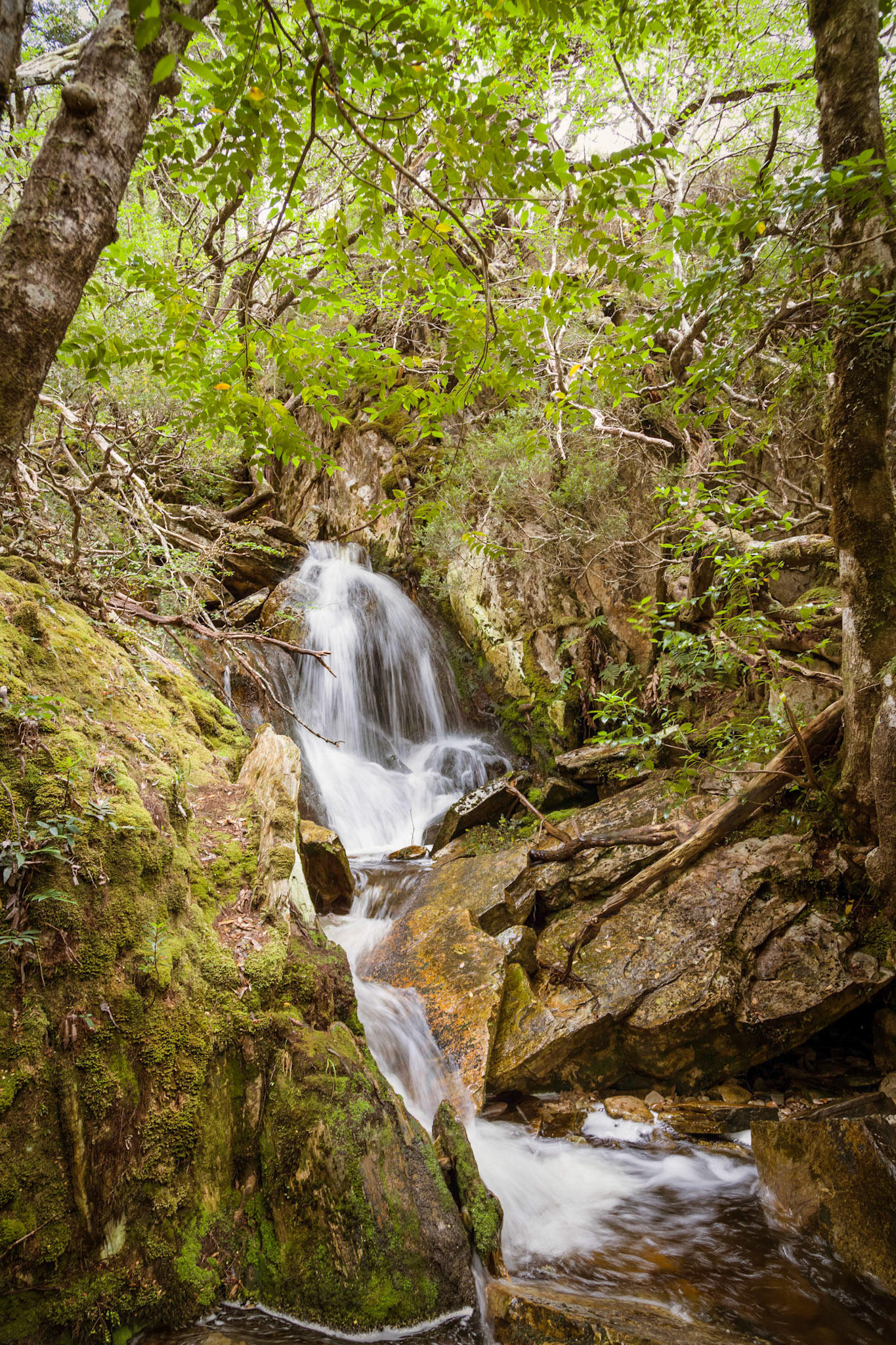 A Section of the Crater Falls, Cradle Mountain - Lake St Clair National Park