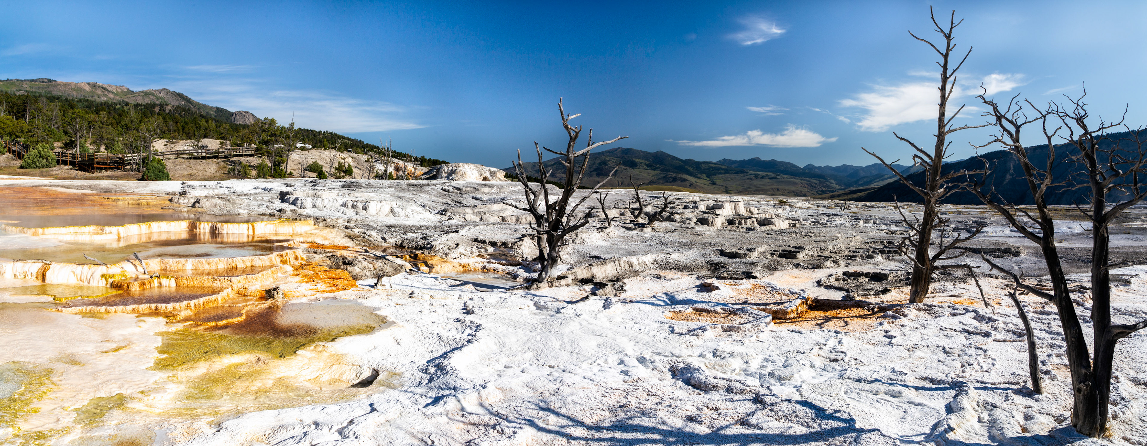Lower Terraces, Mammoth Hot Springs. Yellowstone National Park, Wyoming.