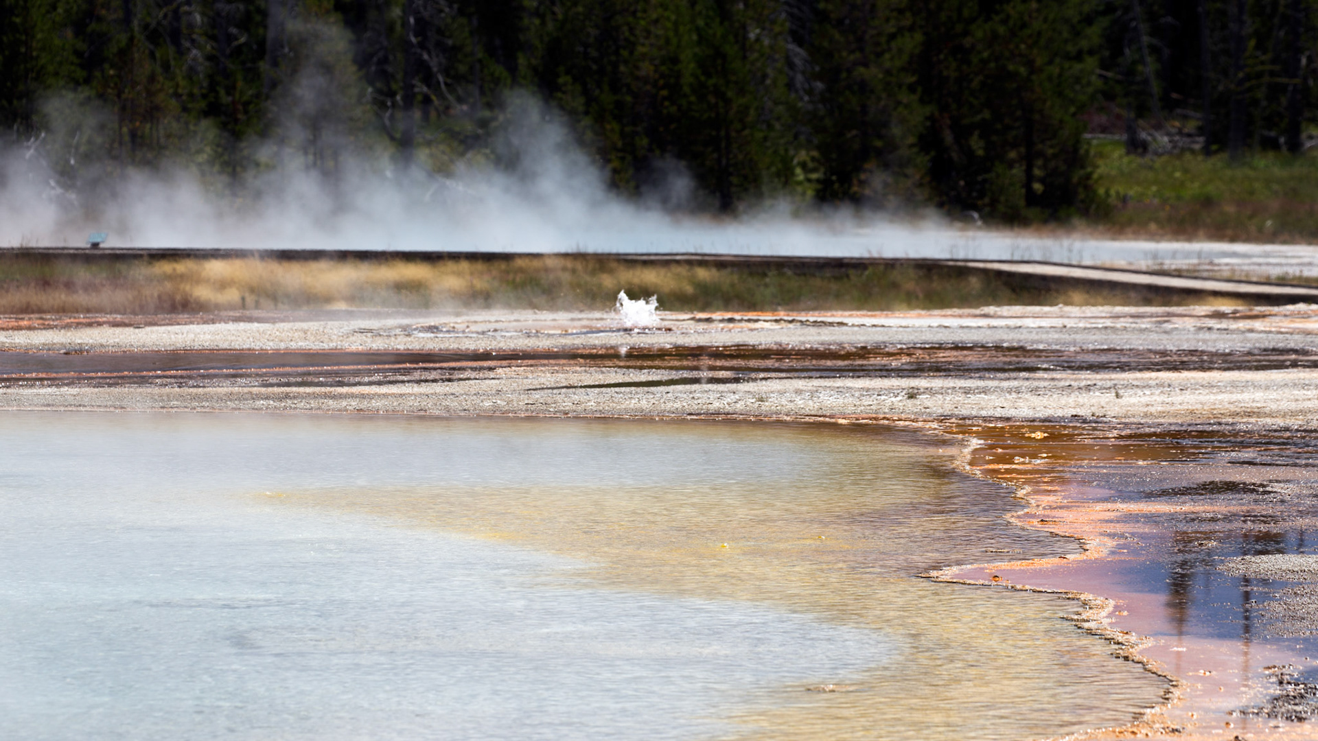 Black Sand Basin, Yellowstone National Park, Wyoming.