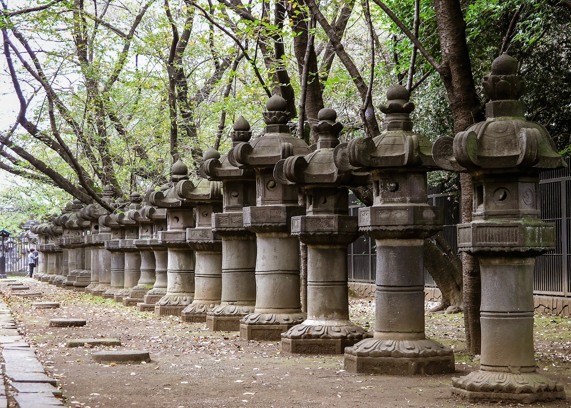 Stone Lanterns, Ueno Toshogu Shrine