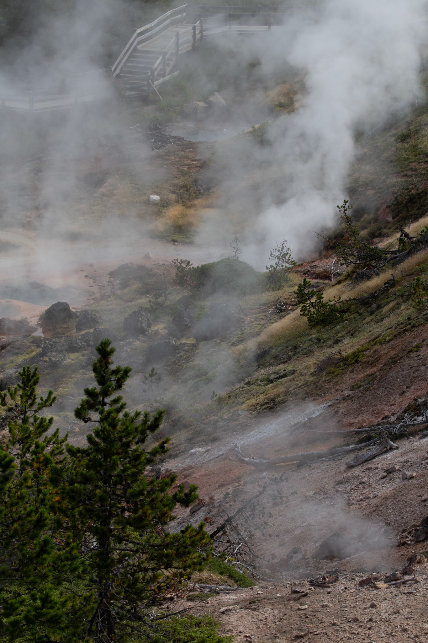 Artist Paint Pot Trail, Yellowstone National Park, Wyoming.