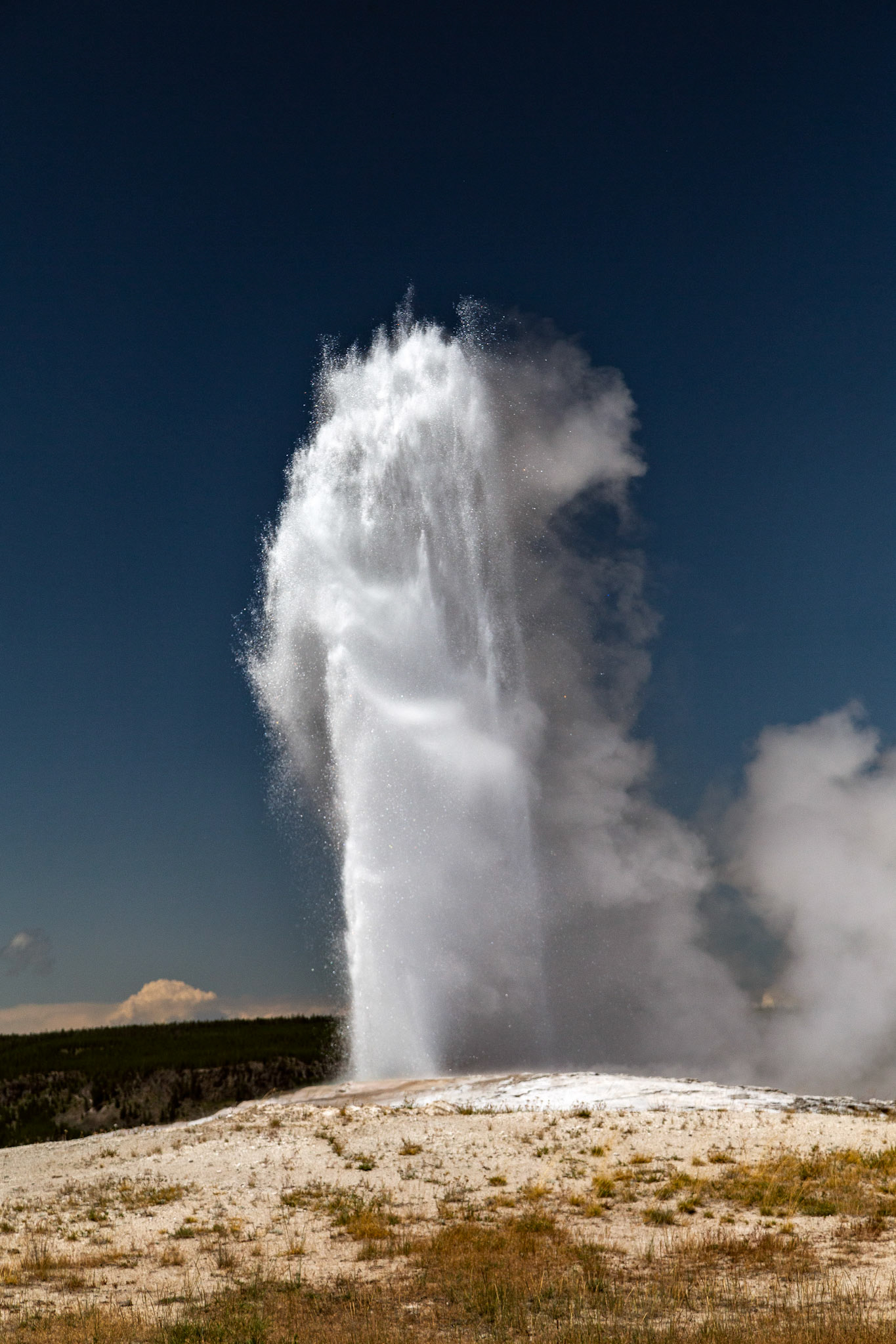 'Old Faithful' Geyser. Legendary geyser erupting on schedule. Yellowstone National Park, Wyoming.
