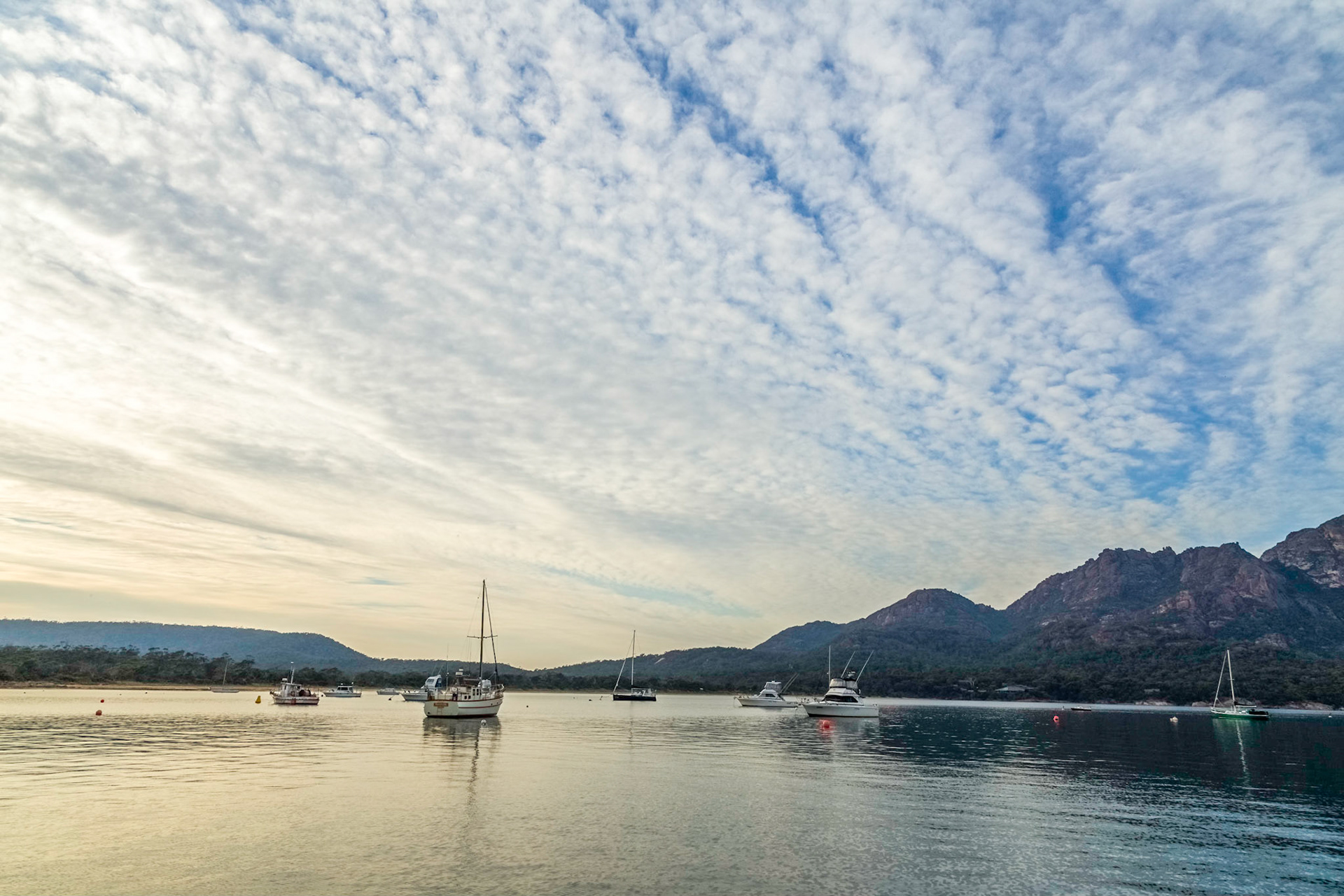 Coles Bay in early morning light
