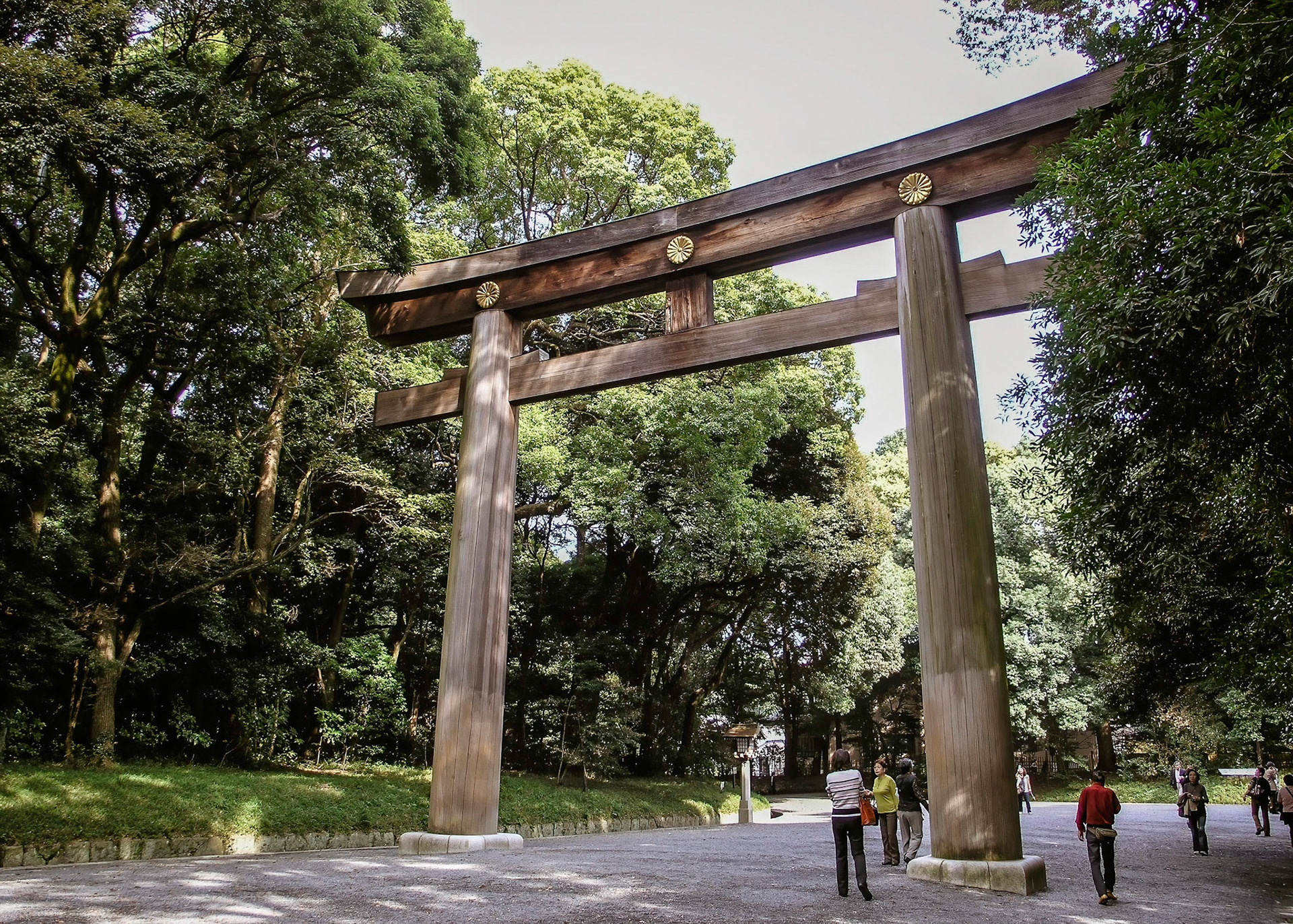 Meiji Jingu, Wooden Grand Shrine Gate