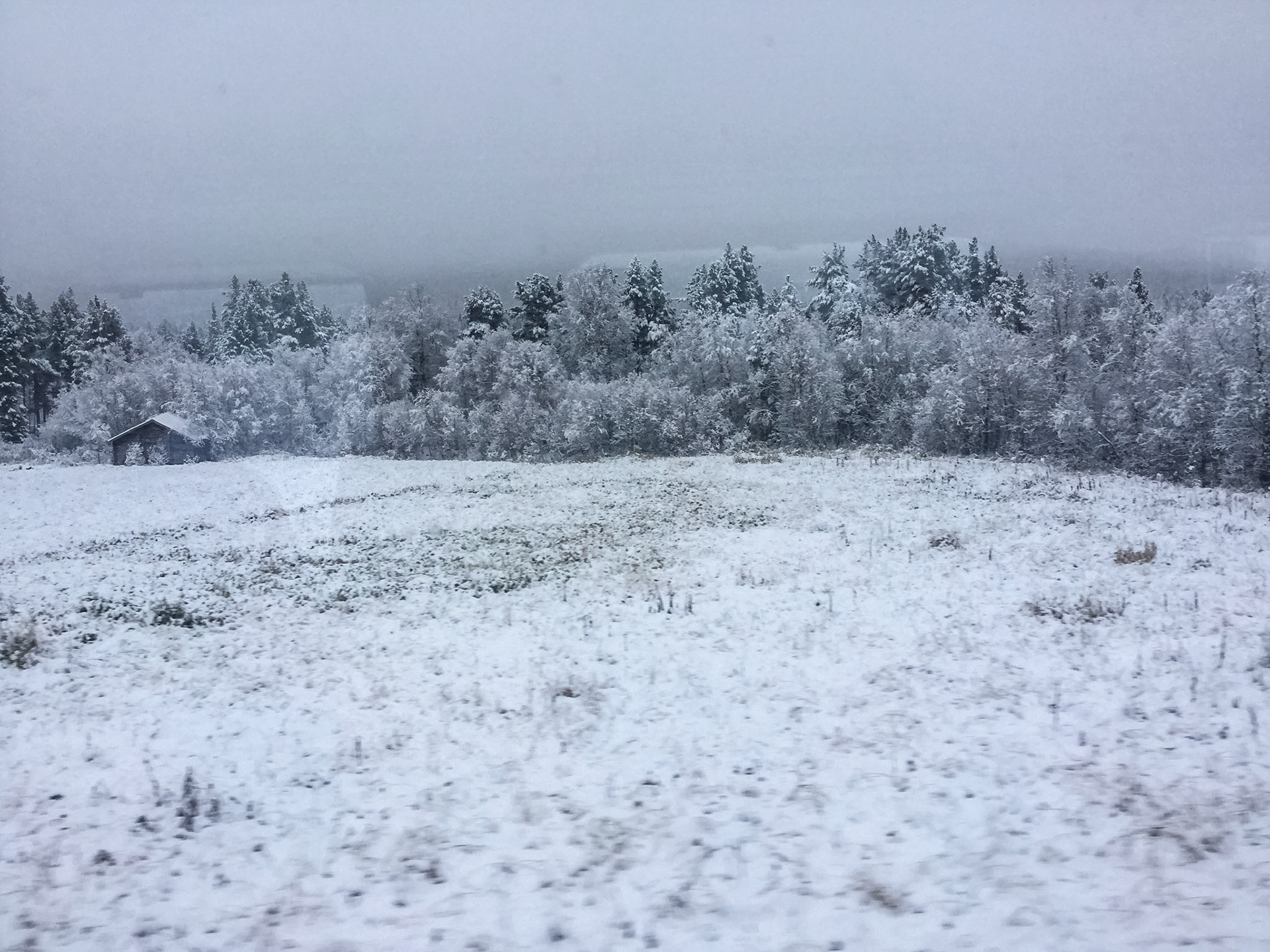 From the train, coming up from Oslo to Myro