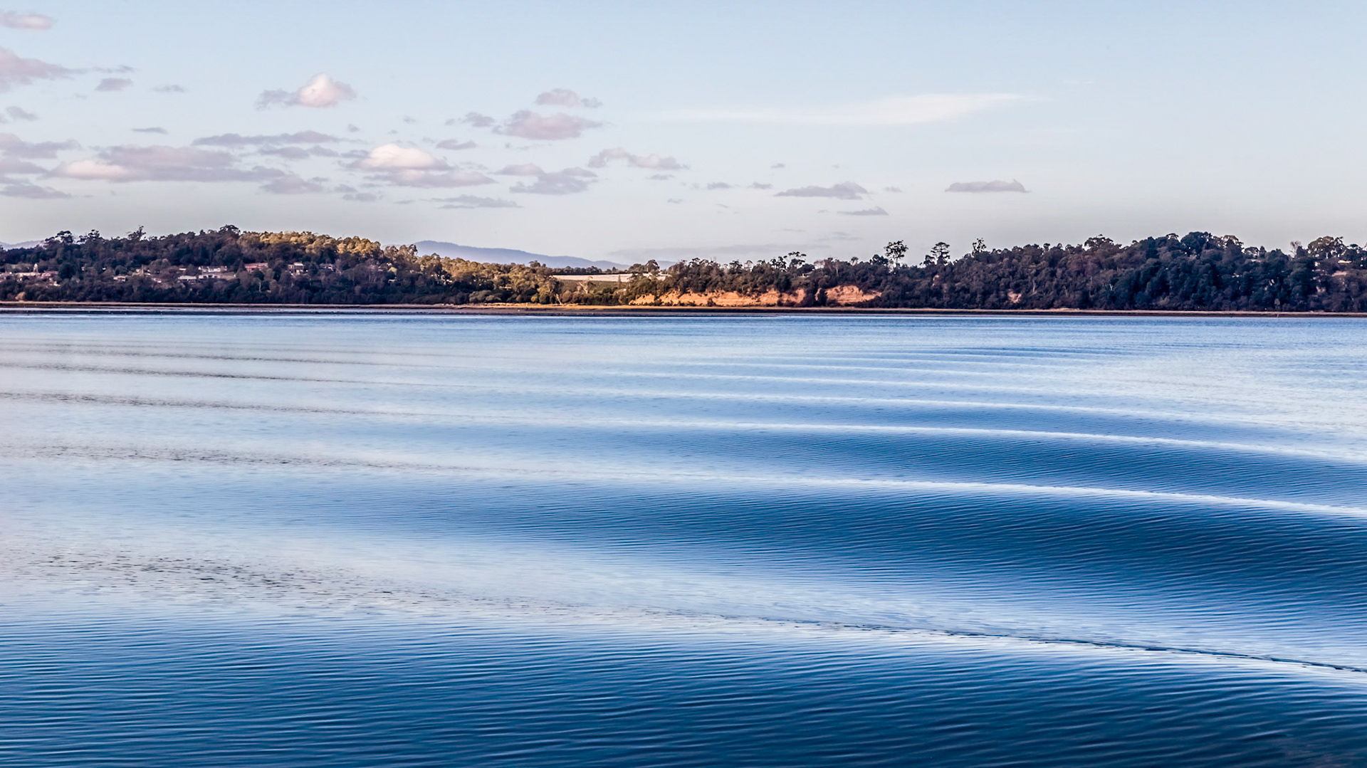 'Tamar Odyssey' river cruise