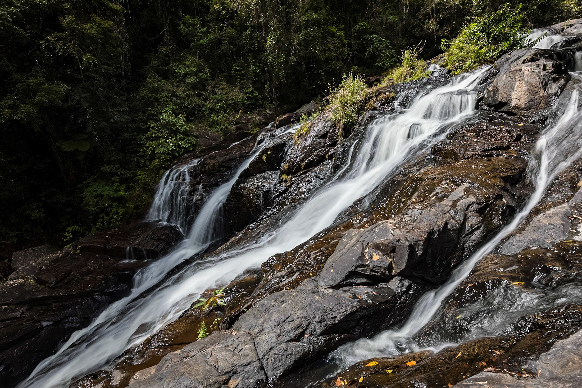 Dinner Falls (lower)