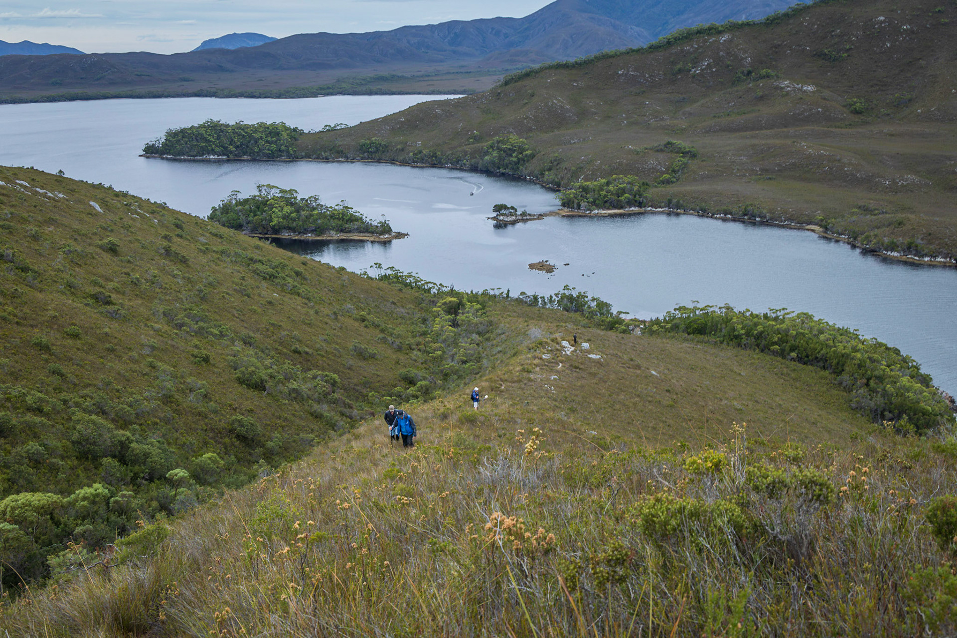 On the track up Mt Beattie