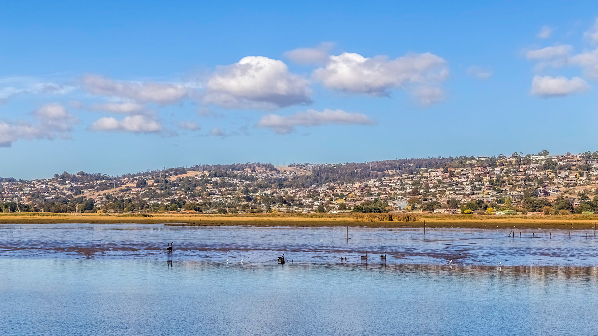 'Tamar Odyssey' river cruise