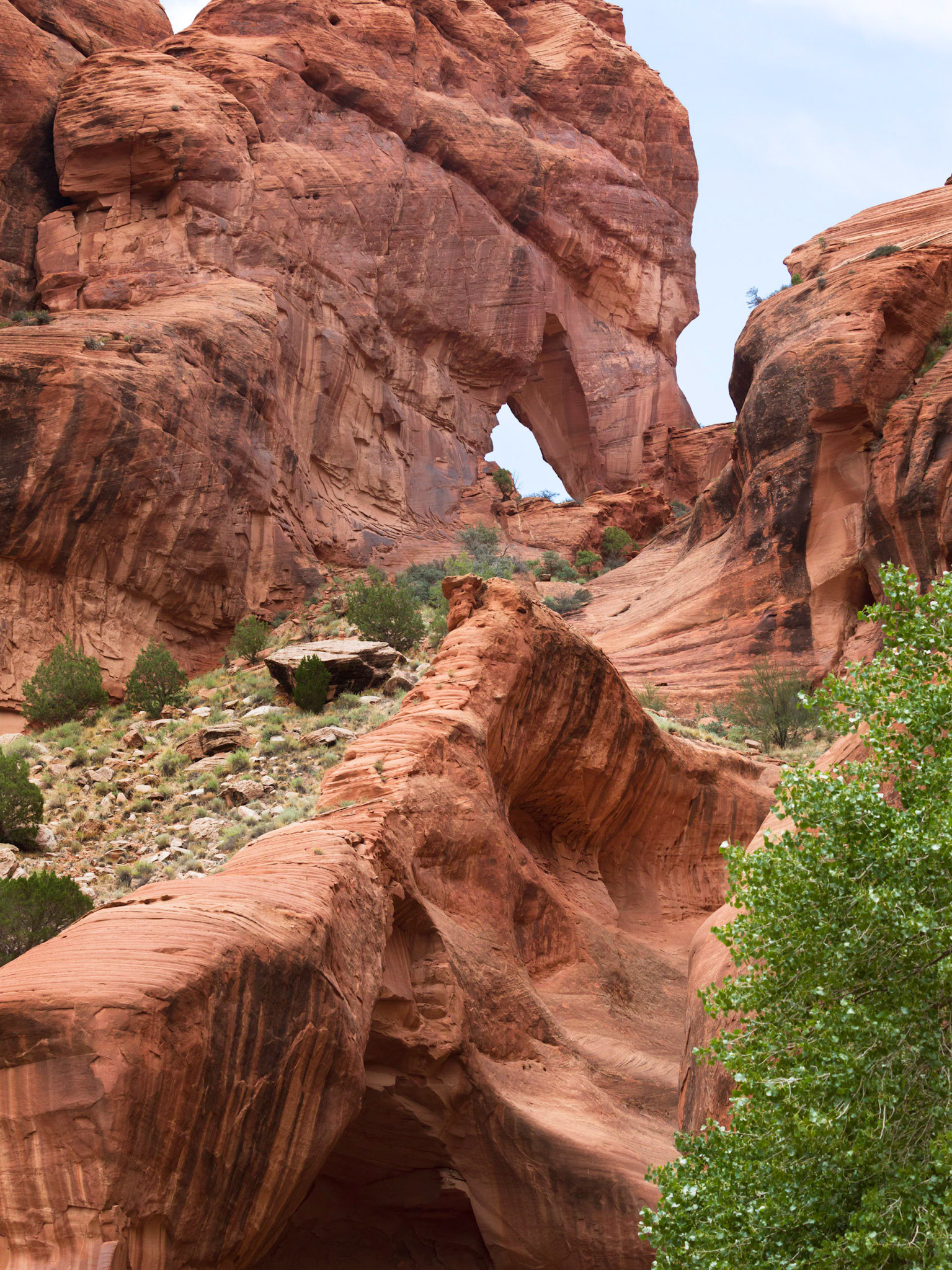 Rock Arch in the Canyon de Chelly