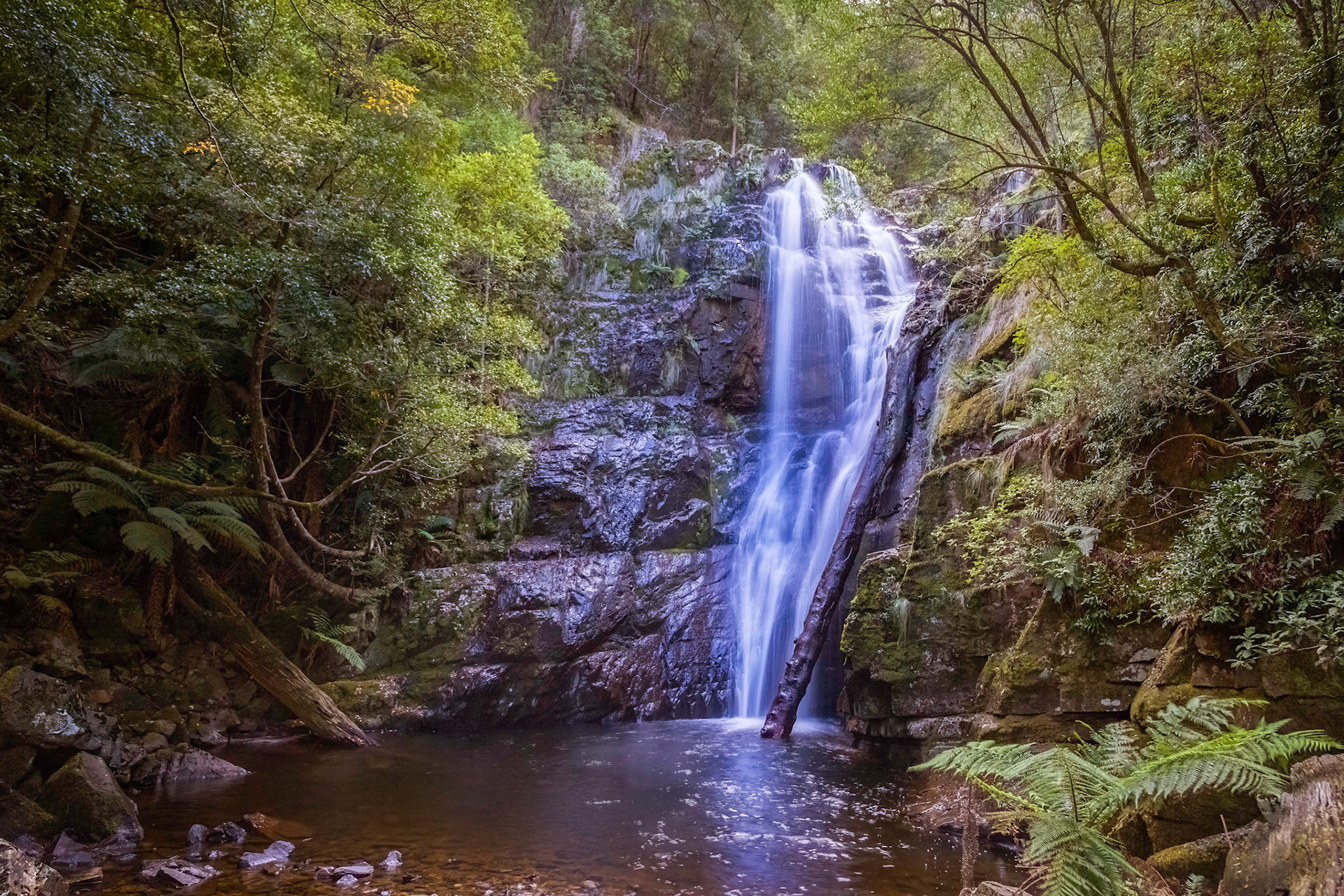 Mathinna Falls, Delvin Creek