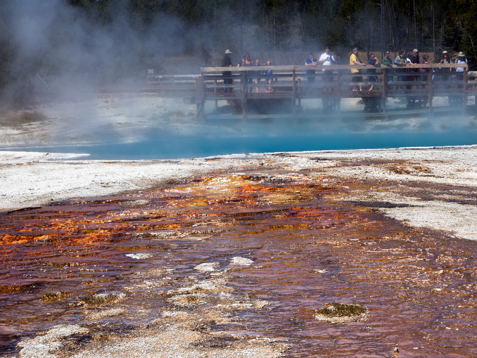 West Thumb Geyser Basin, Yellowstone National Park, Wyoming.