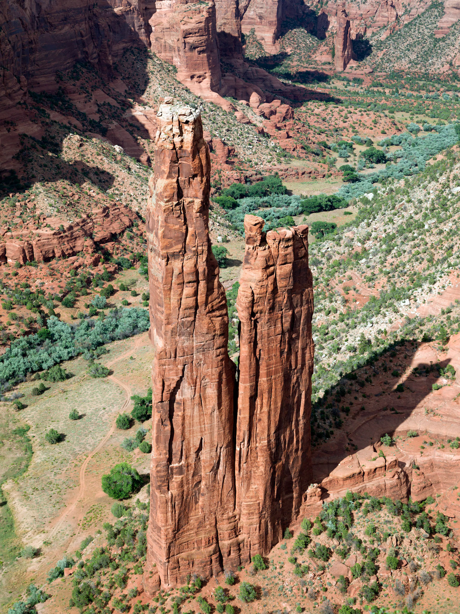 Spider Rock: rises 215 metres from the canyon floor.
