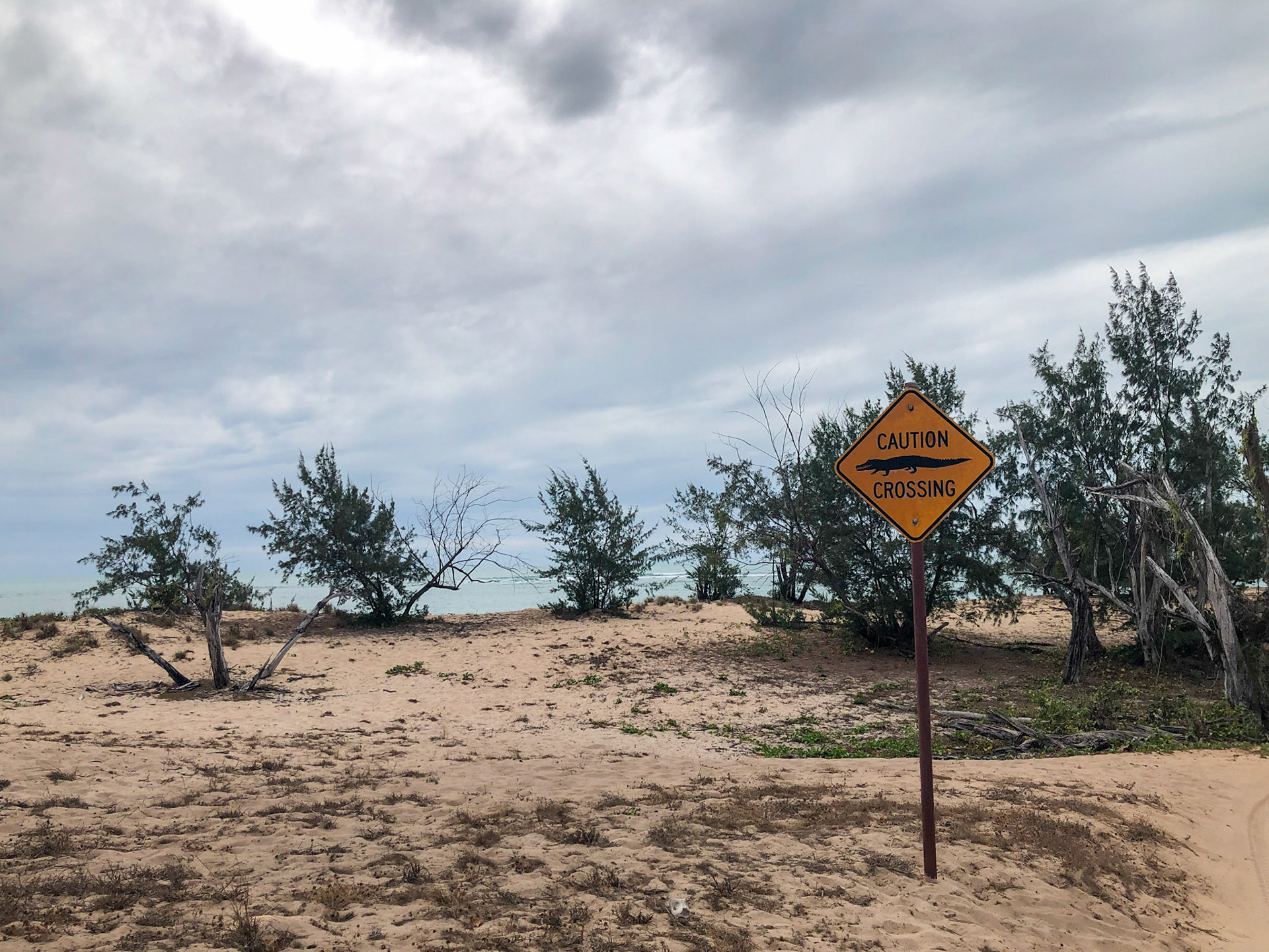 Along the Coastal Drive