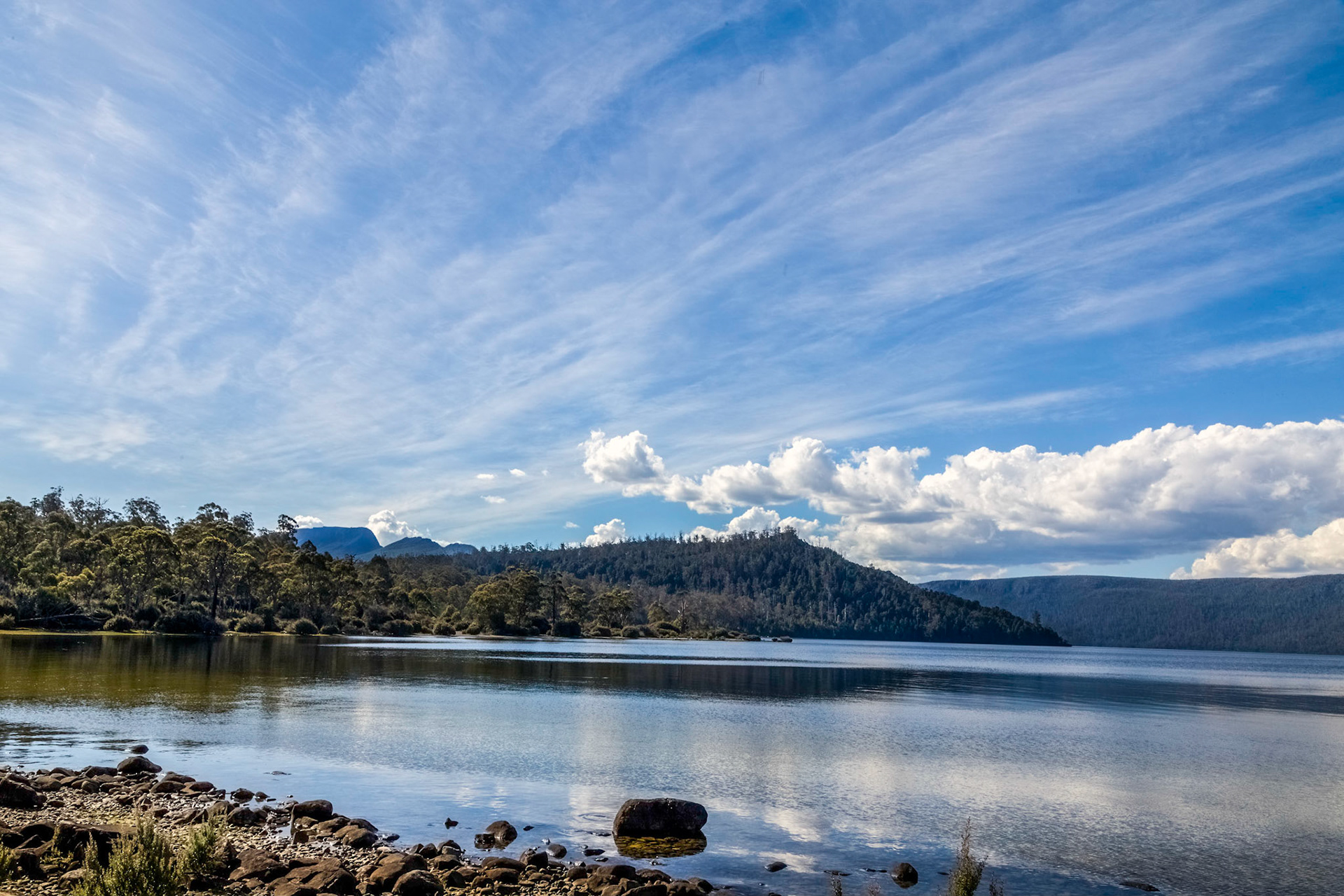 Lake St Clair - Cynthia Bay. Cradle Mountain - Lake Saint Clair National Park.