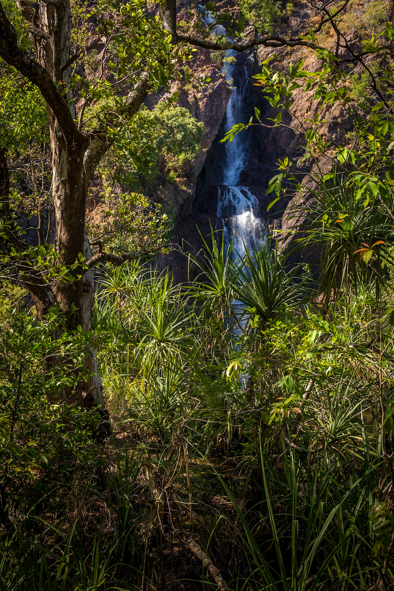 Wangi Falls