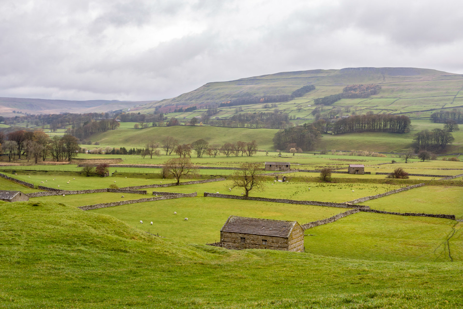 On the drive along A684 across the Yorkshire Dales National Park.
