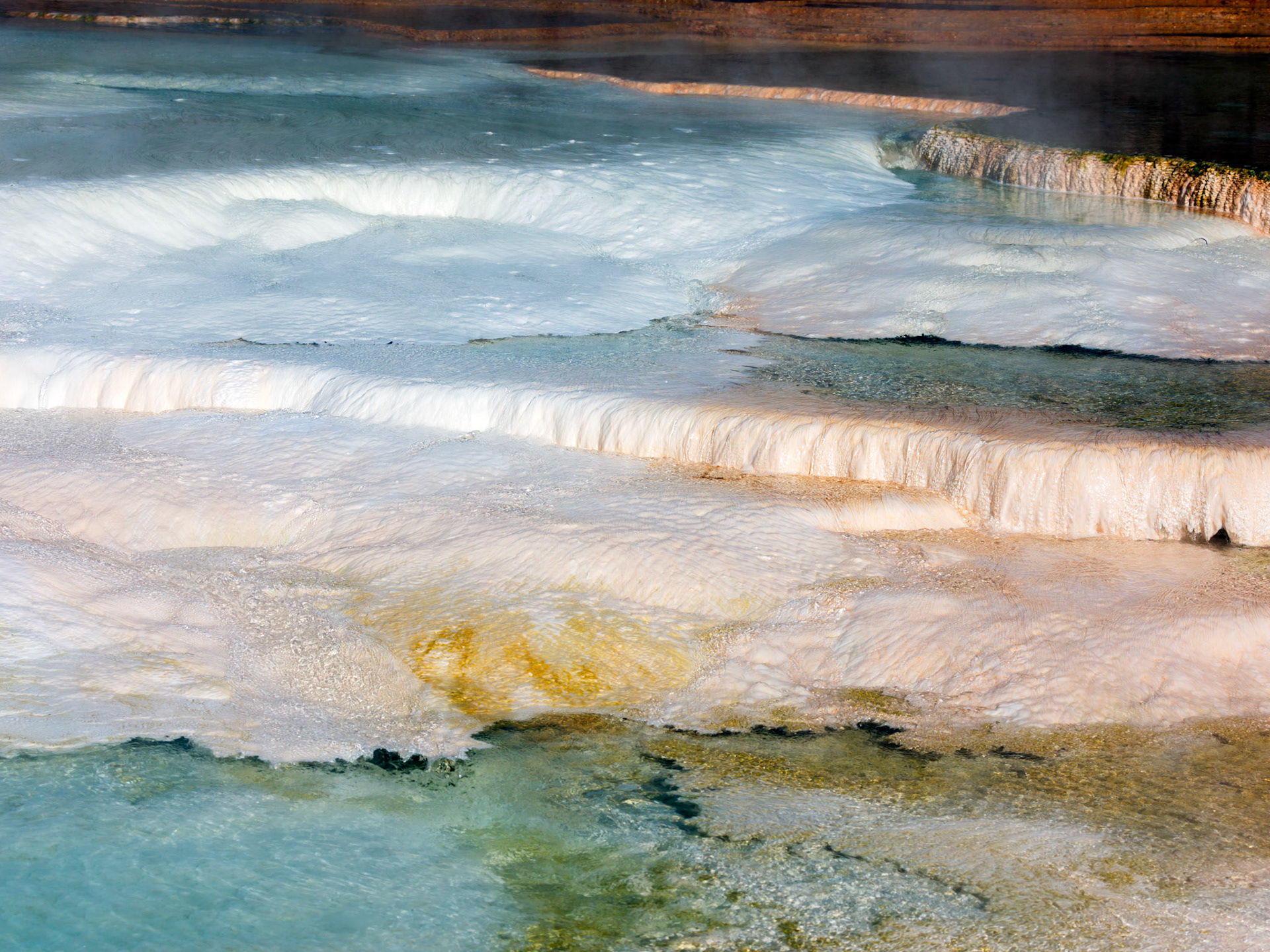 Lower Terraces, Mammoth Hot Springs