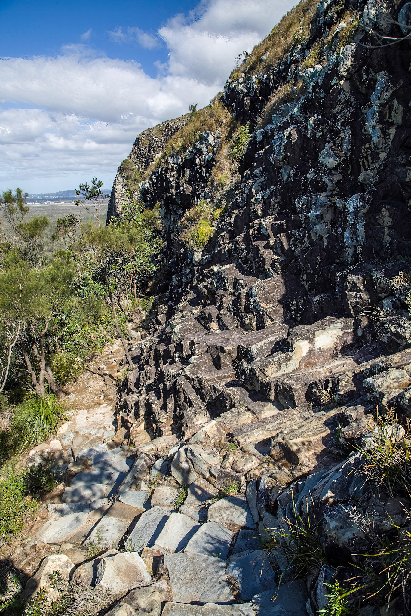 On the Mt Coolum climbing trail