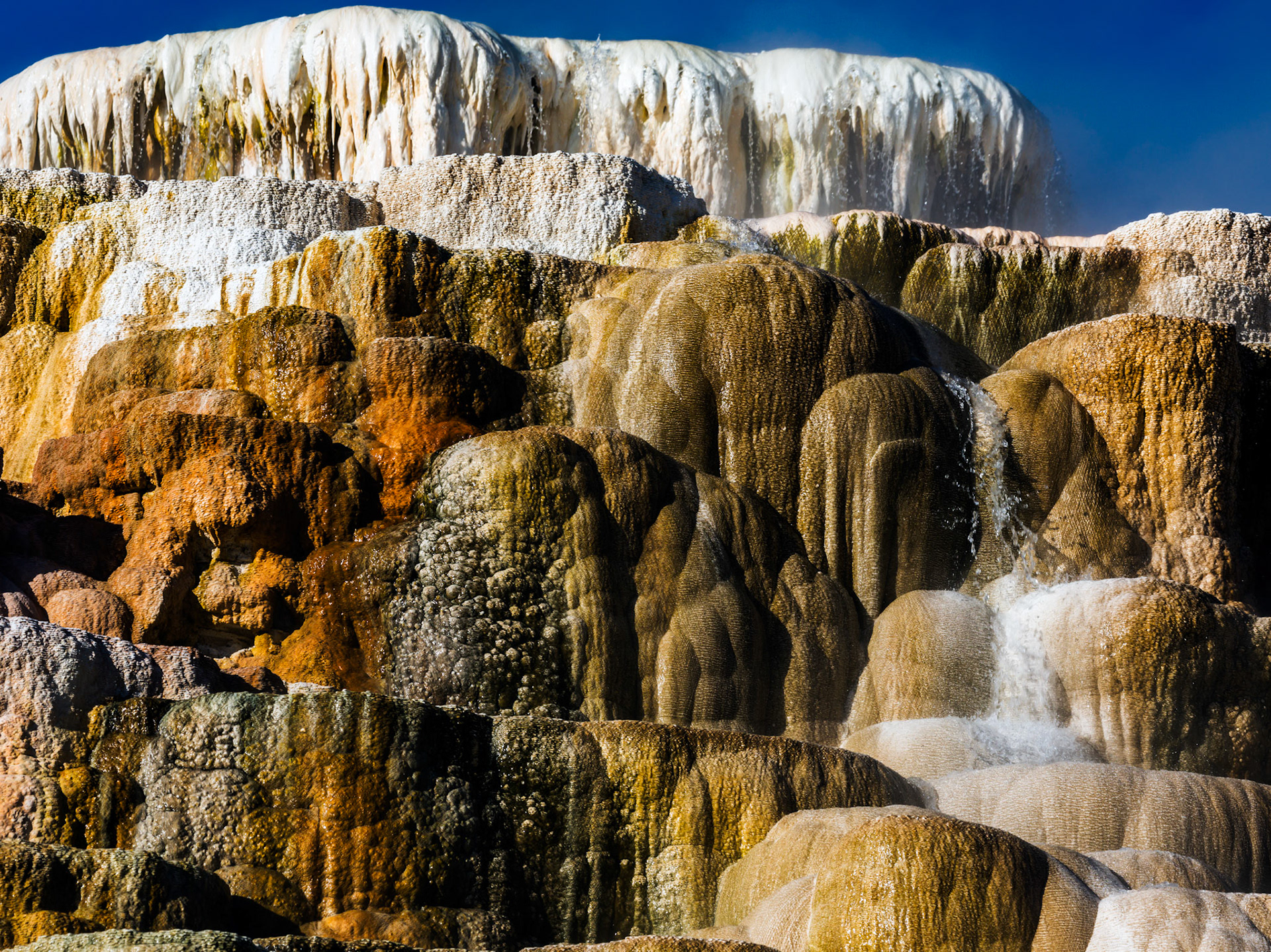 Upper Terraces, Mammoth Hot Springs. Yellowstone National Park, Wyoming.
