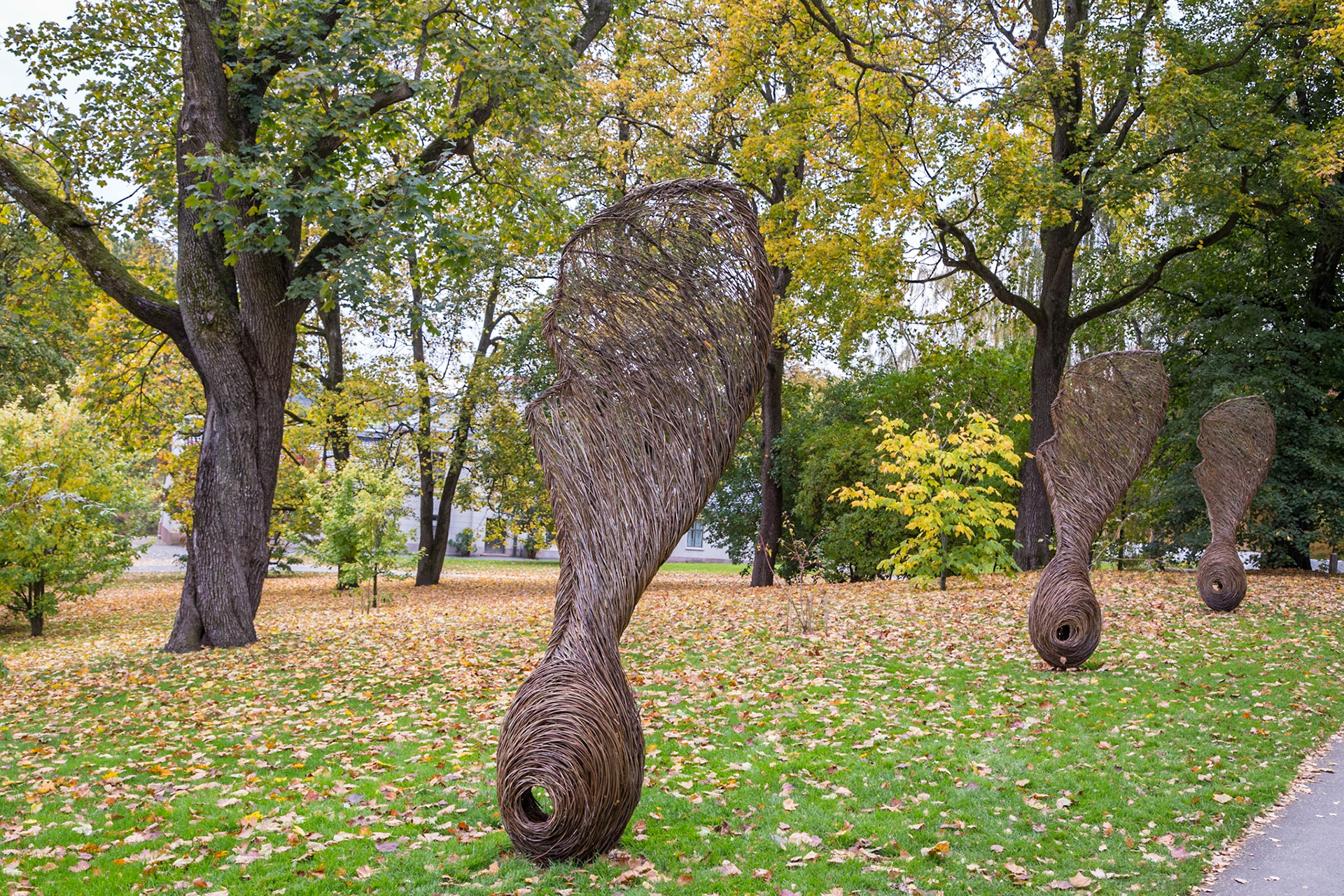 The Sycamore Row; sculptures are giant maple fruits (Acer) made from almond willow.. Made by Tom Hare, a British willow scuplter. In the grounds of the university's Botanical Gardens