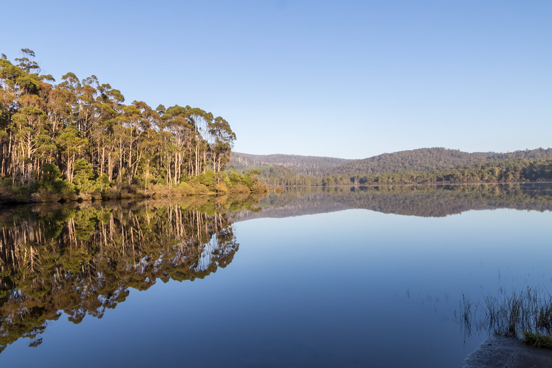 Wayatinah Lagoon - early morning stillness