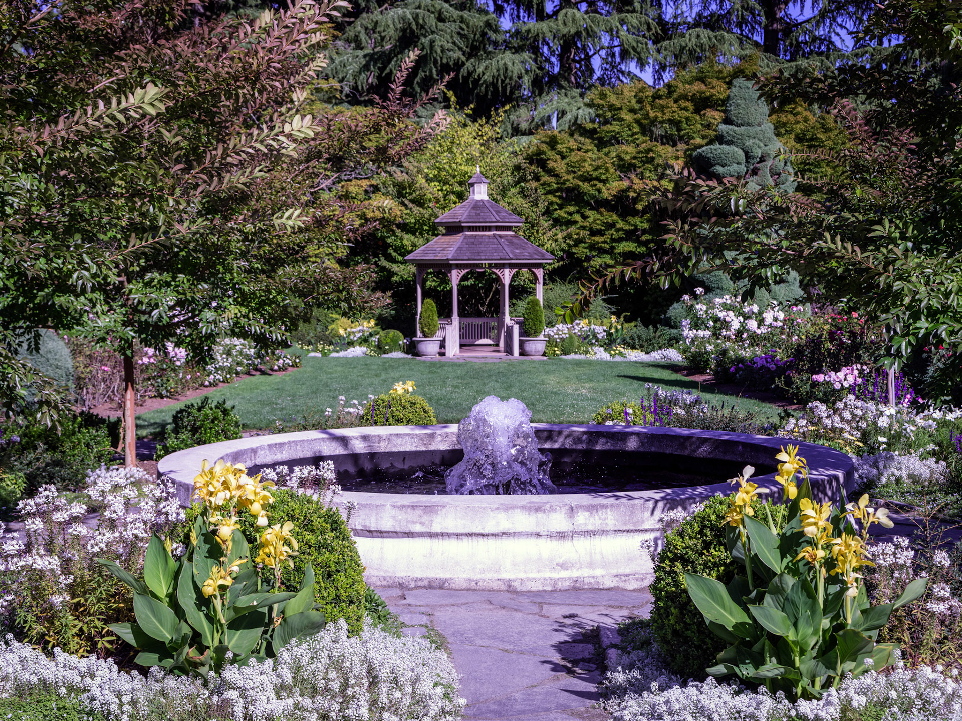 Woodland Park Rose Garden