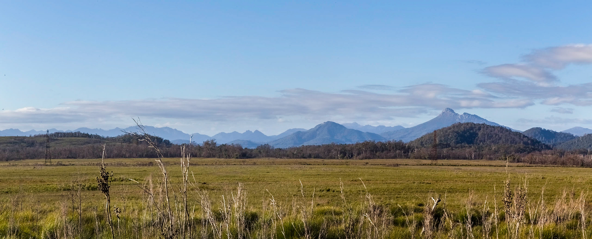 Along the Gordon River Road