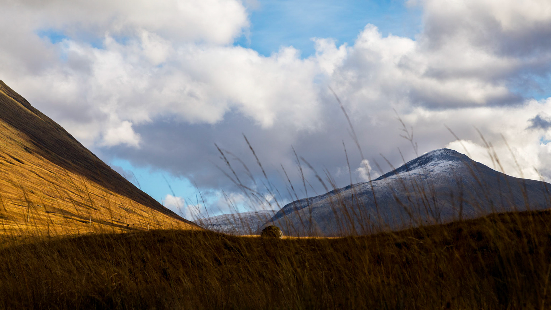 Passing through Rannoch Moor (A82) near Bridge of Orchy.