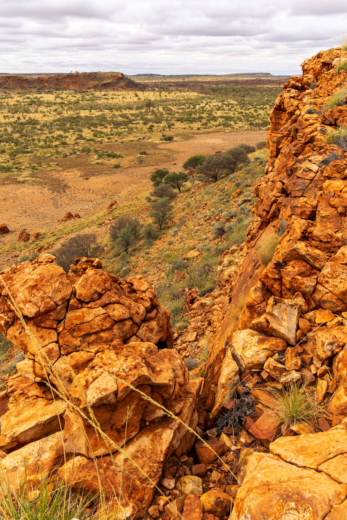 Amongst the Dovers Hills