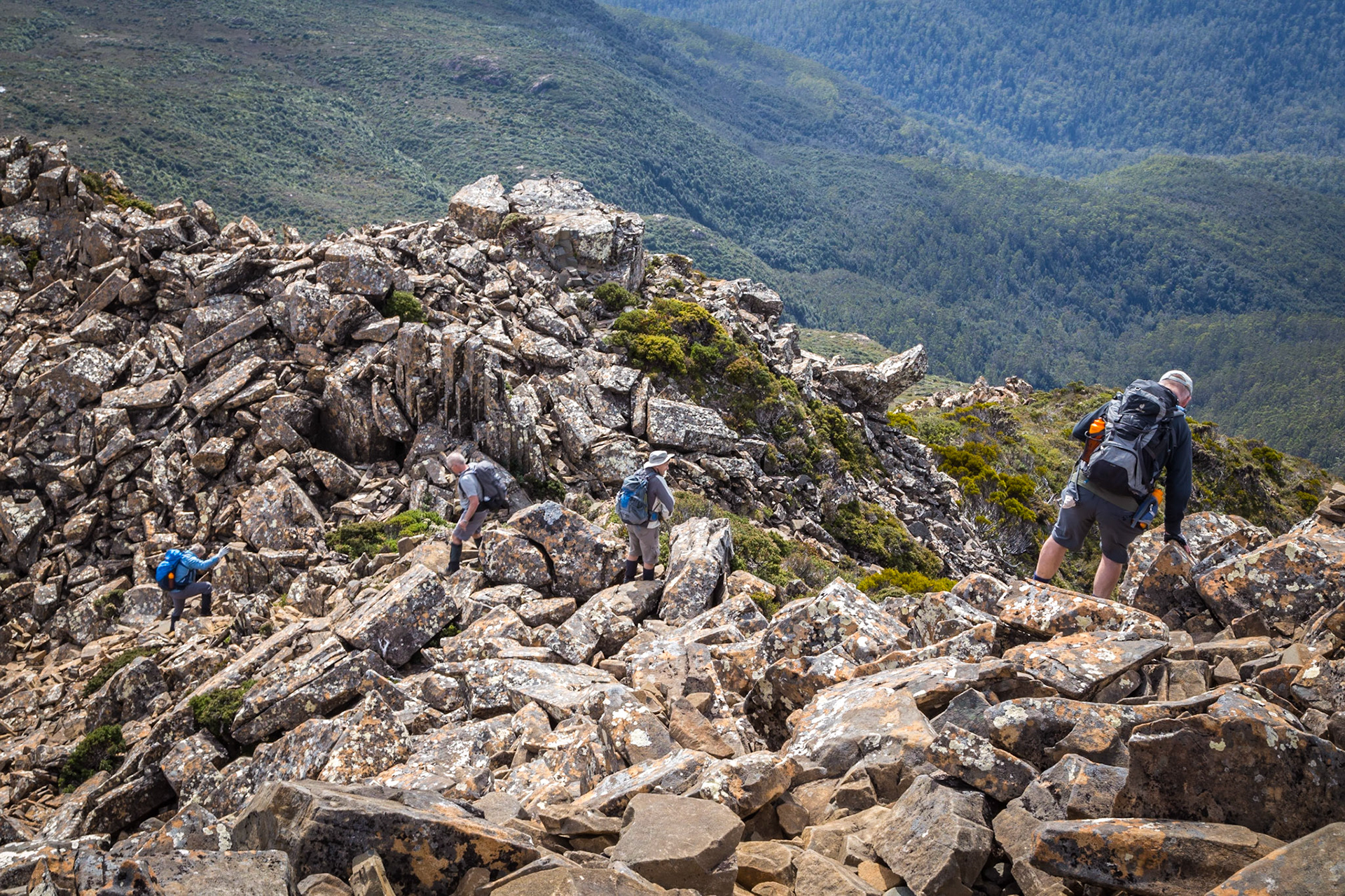 Hikers' descent from Hartz Peak